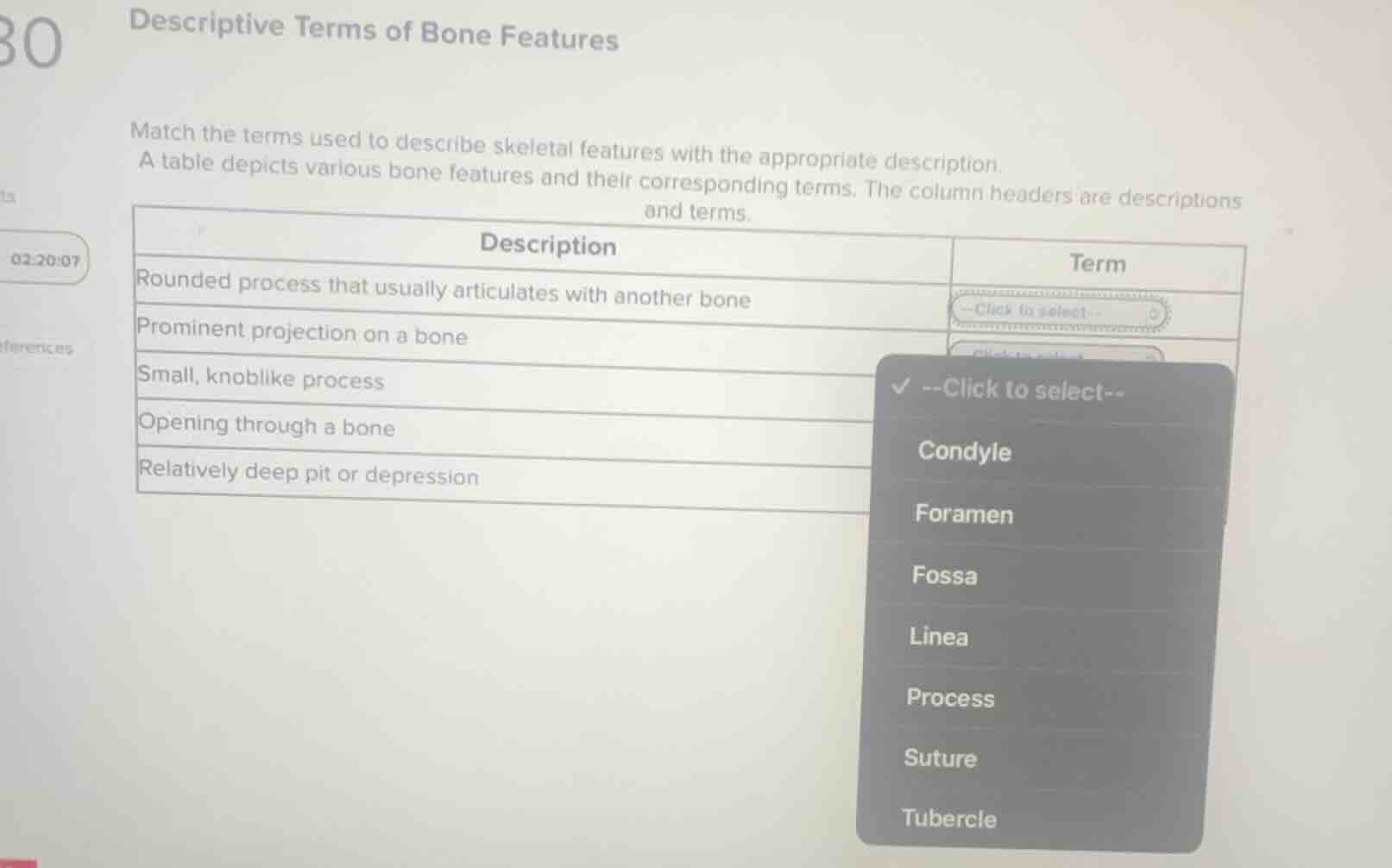 descriptive terms of bone features match the terms used to describe ske…