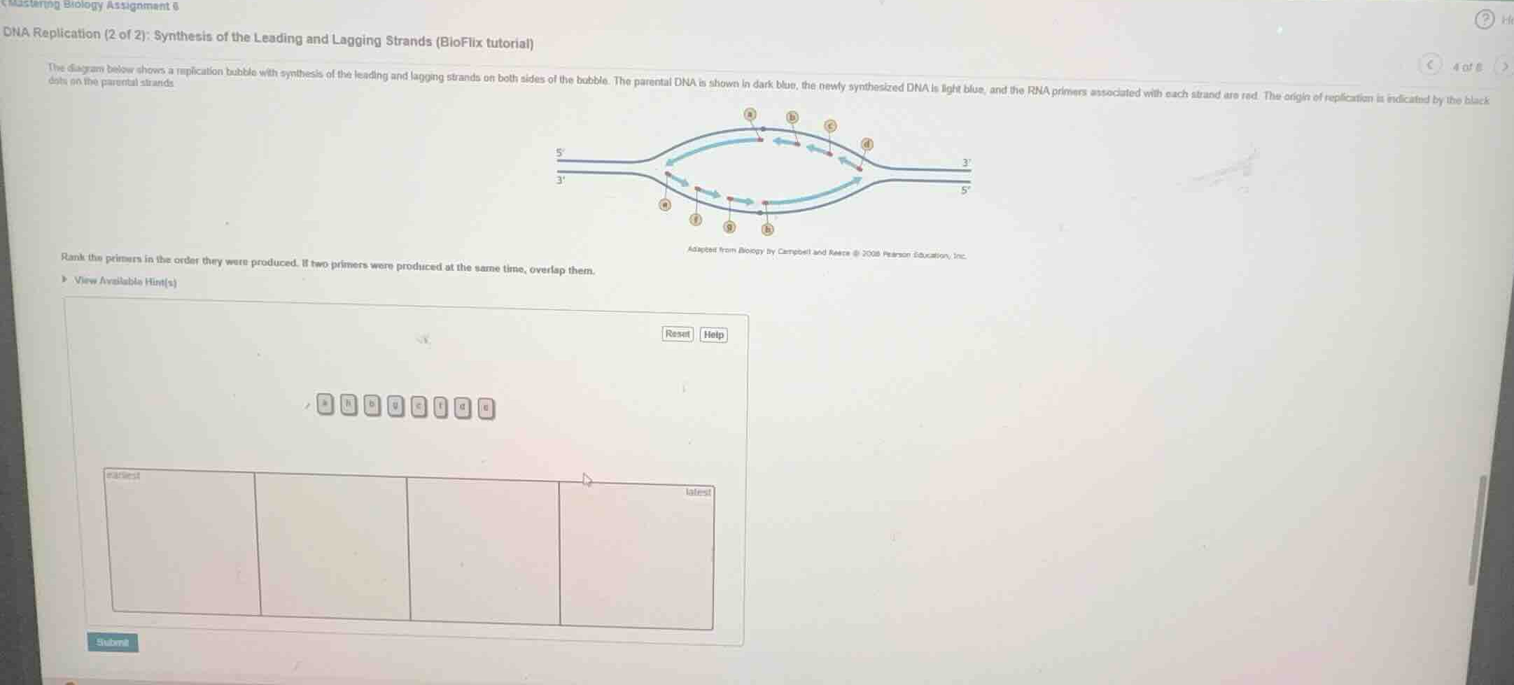 dna replication (2 of 2): synthesis of the leading and lagging strands …