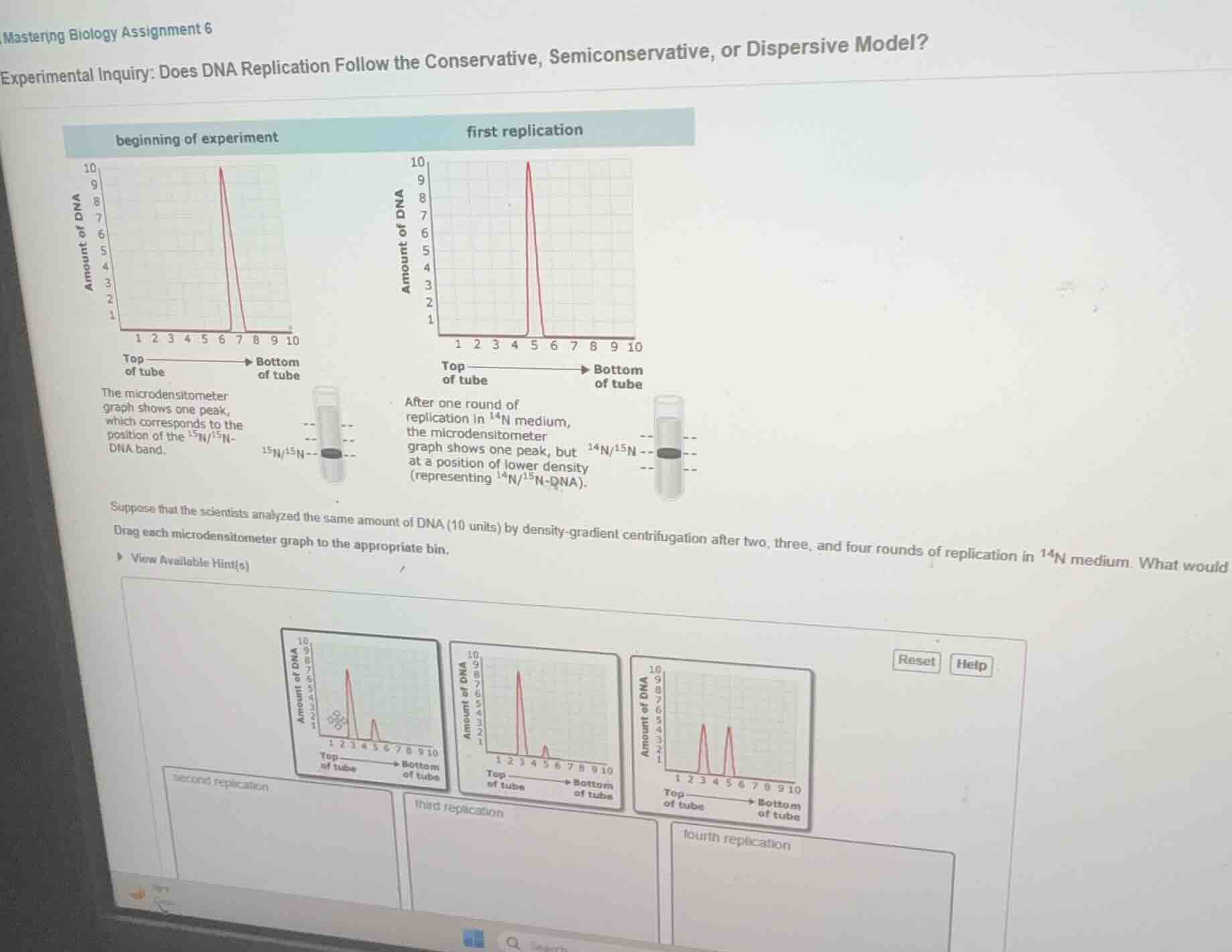 mastering biology assignment 6 experimental inquiry: does dna replicati…