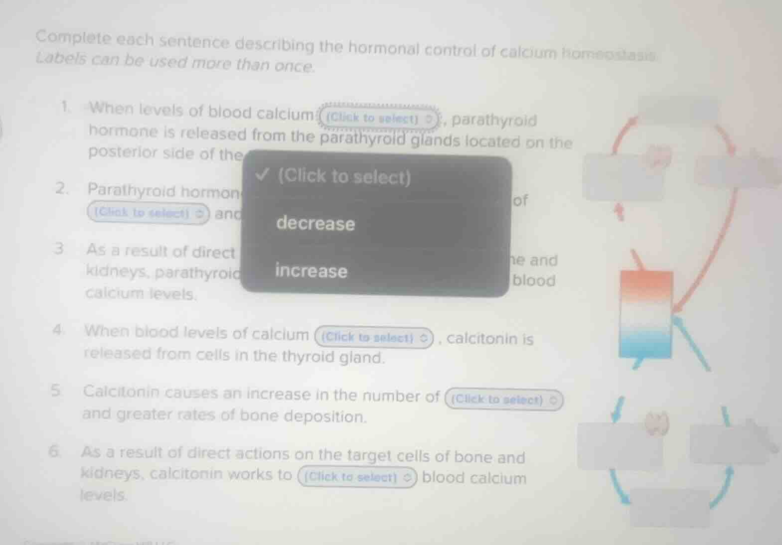complete each sentence describing the hormonal control of calcium homeo…