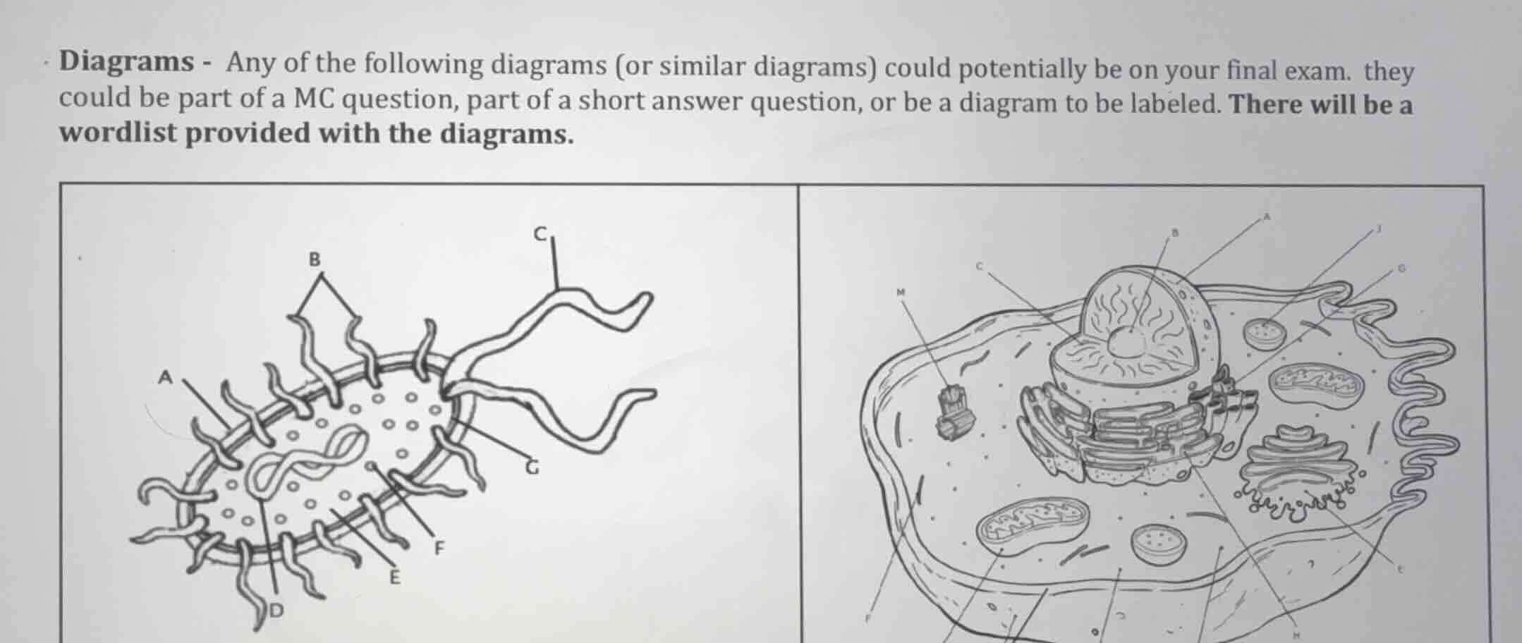 diagrams - any of the following diagrams (or similar diagrams) could po…