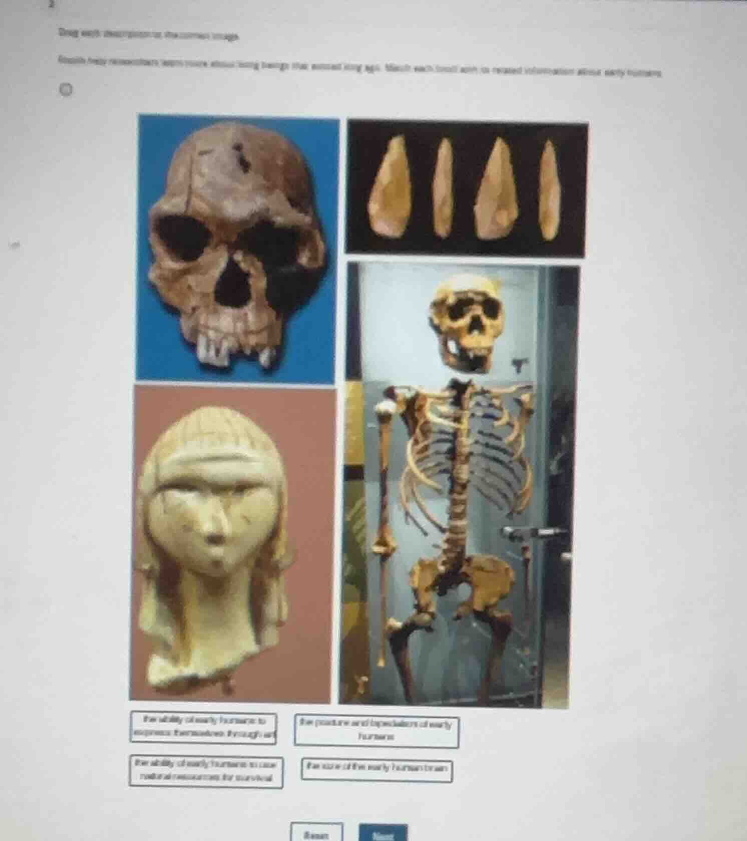 drag each description to the correct image. fossils help researchers le…