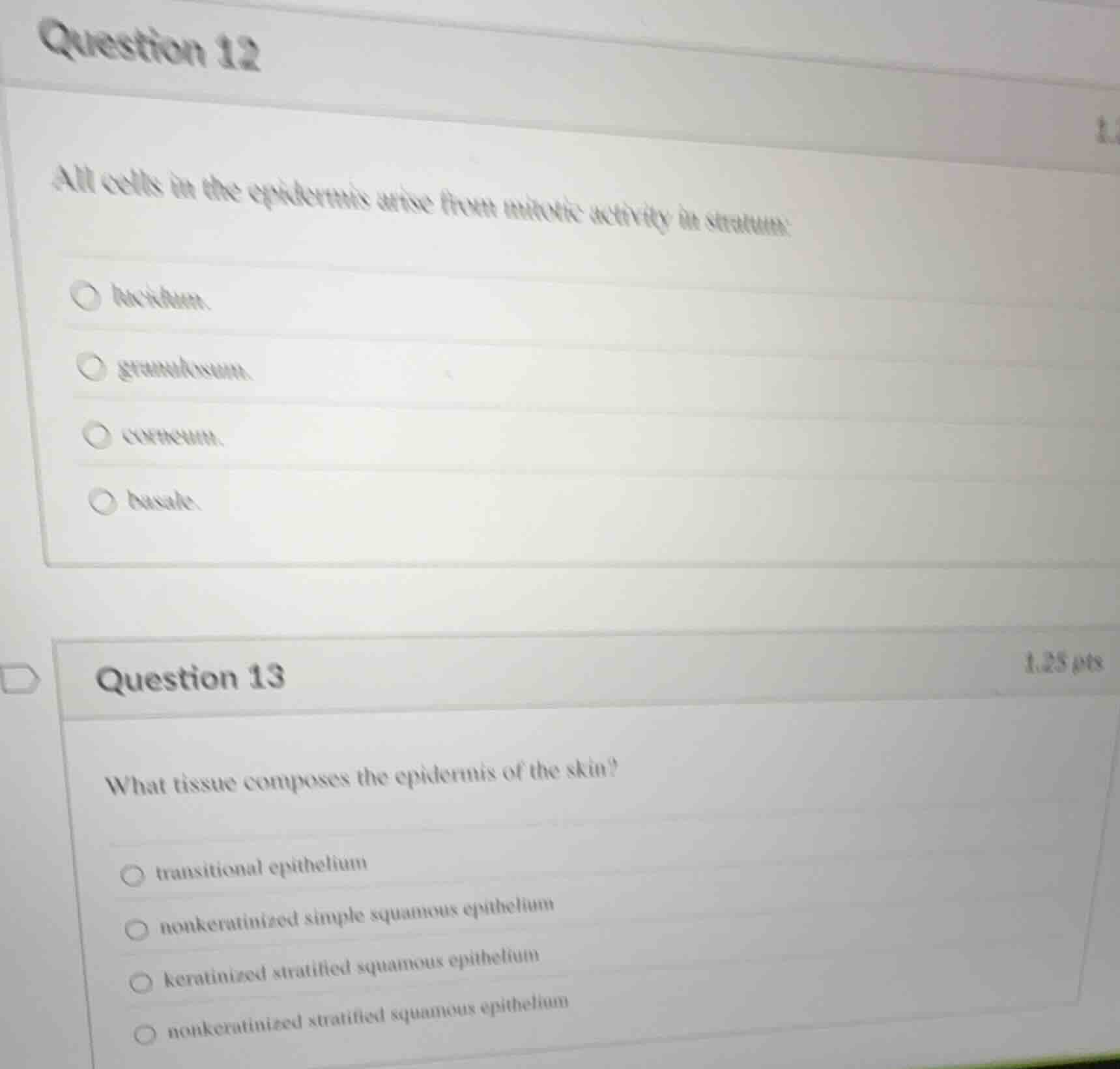 question 12 all cells in the epidermis arise from mitotic activity in s…