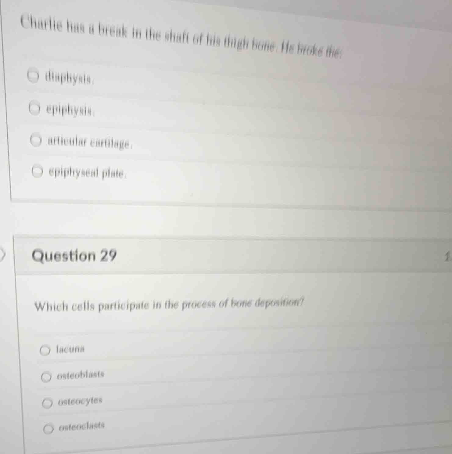 charlie has a break in the shaft of his thigh bone. he broke the: diaph…