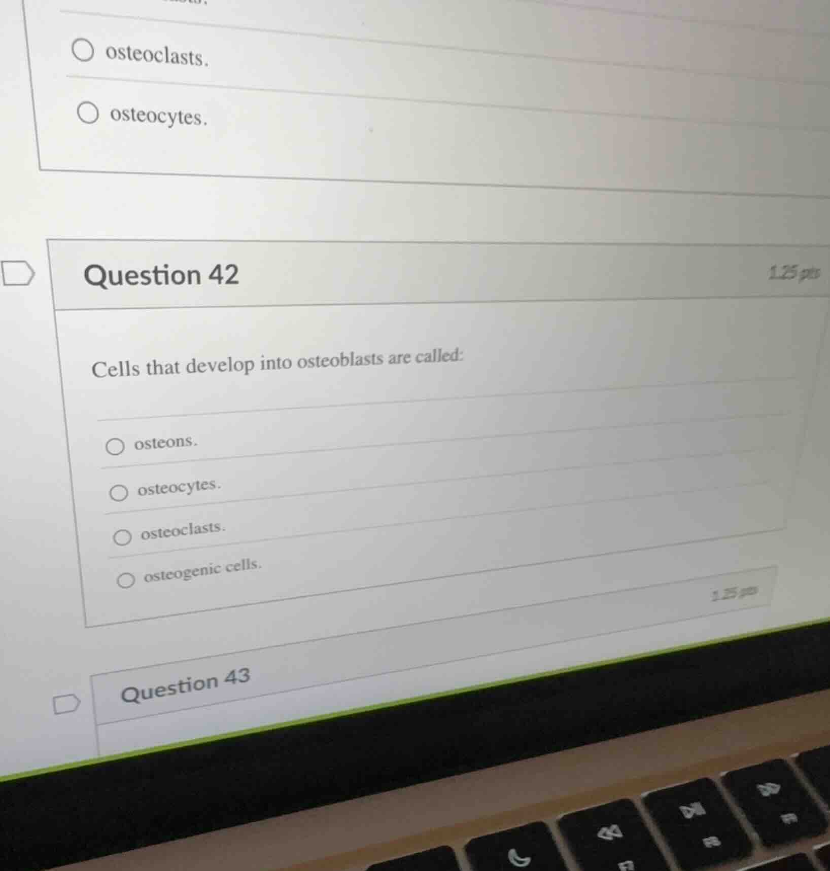 question 42 cells that develop into osteoblasts are called: osteons. os…