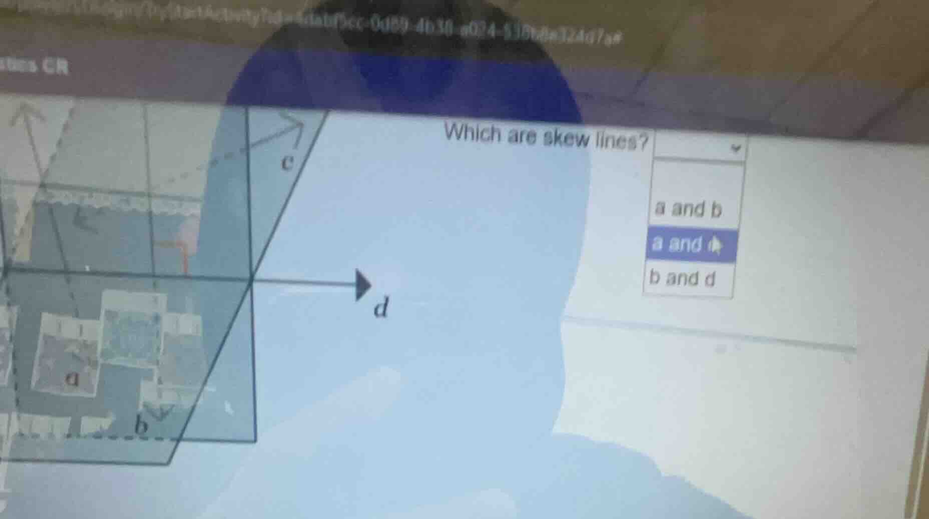 which are skew lines? a and b a and d b and d