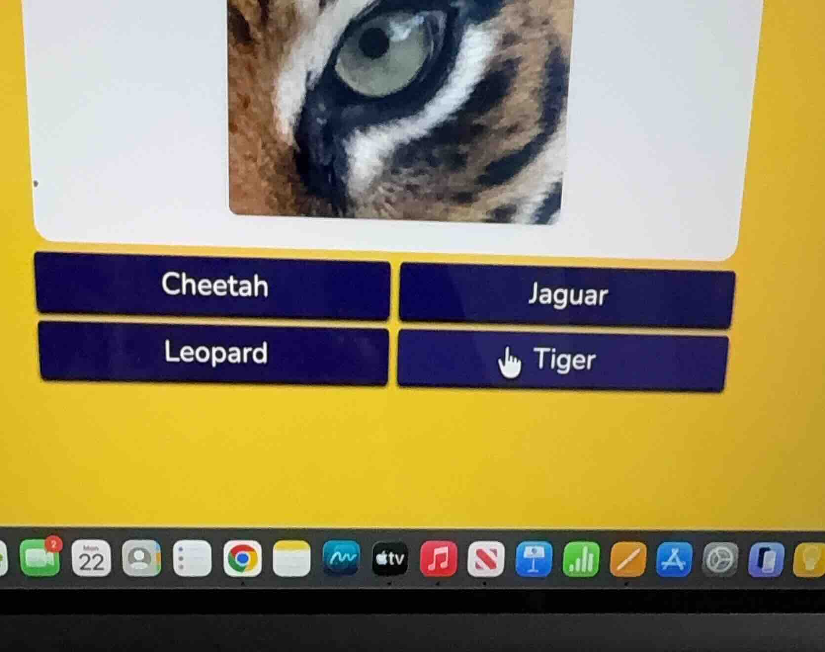 cheetah jaguar leopard tiger