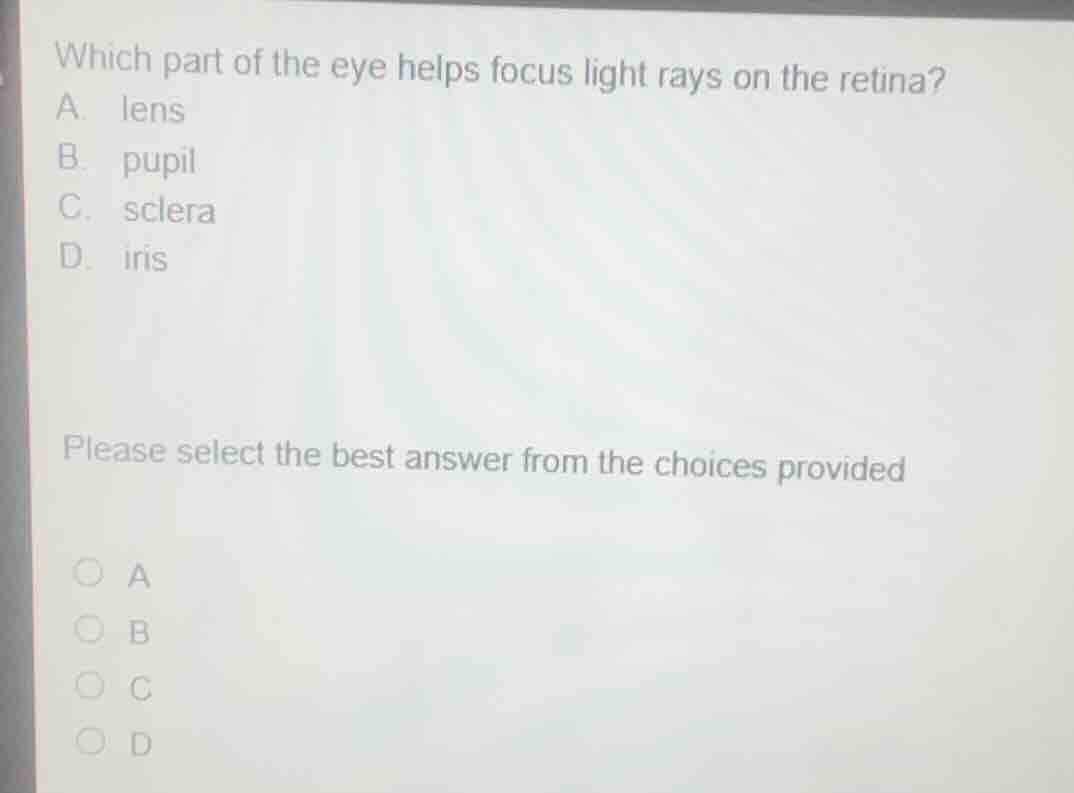 which part of the eye helps focus light rays on the retina? a. lens b. …