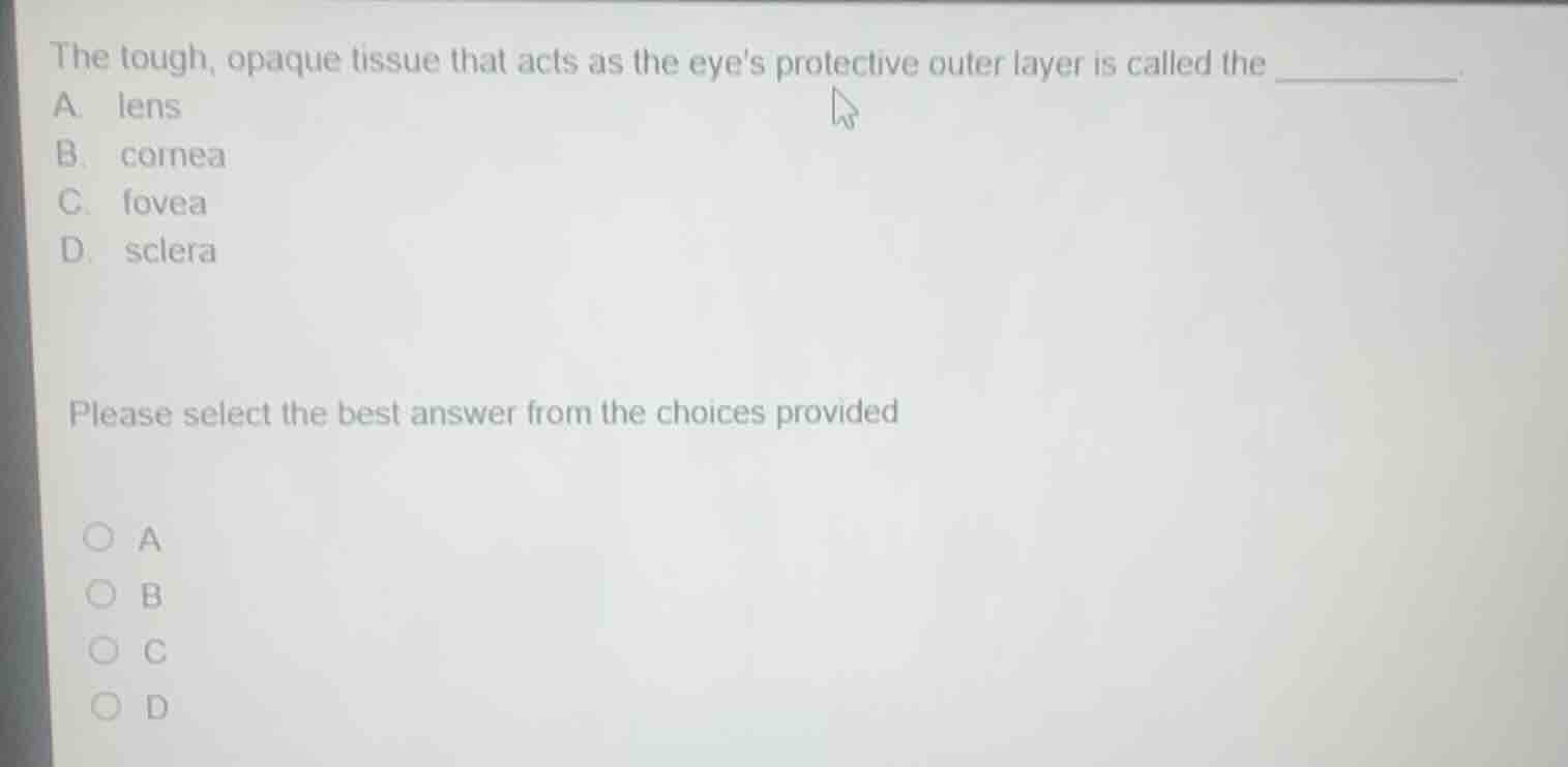 the tough, opaque tissue that acts as the eyes protective outer layer i…