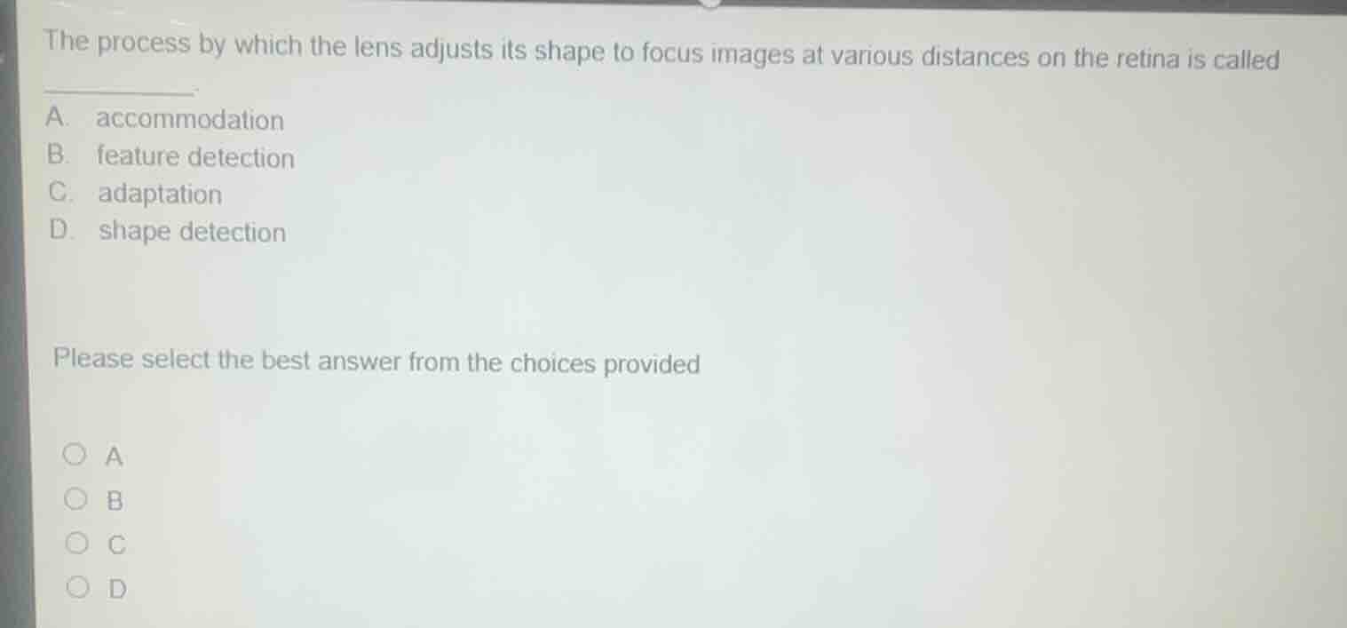 the process by which the lens adjusts its shape to focus images at vari…