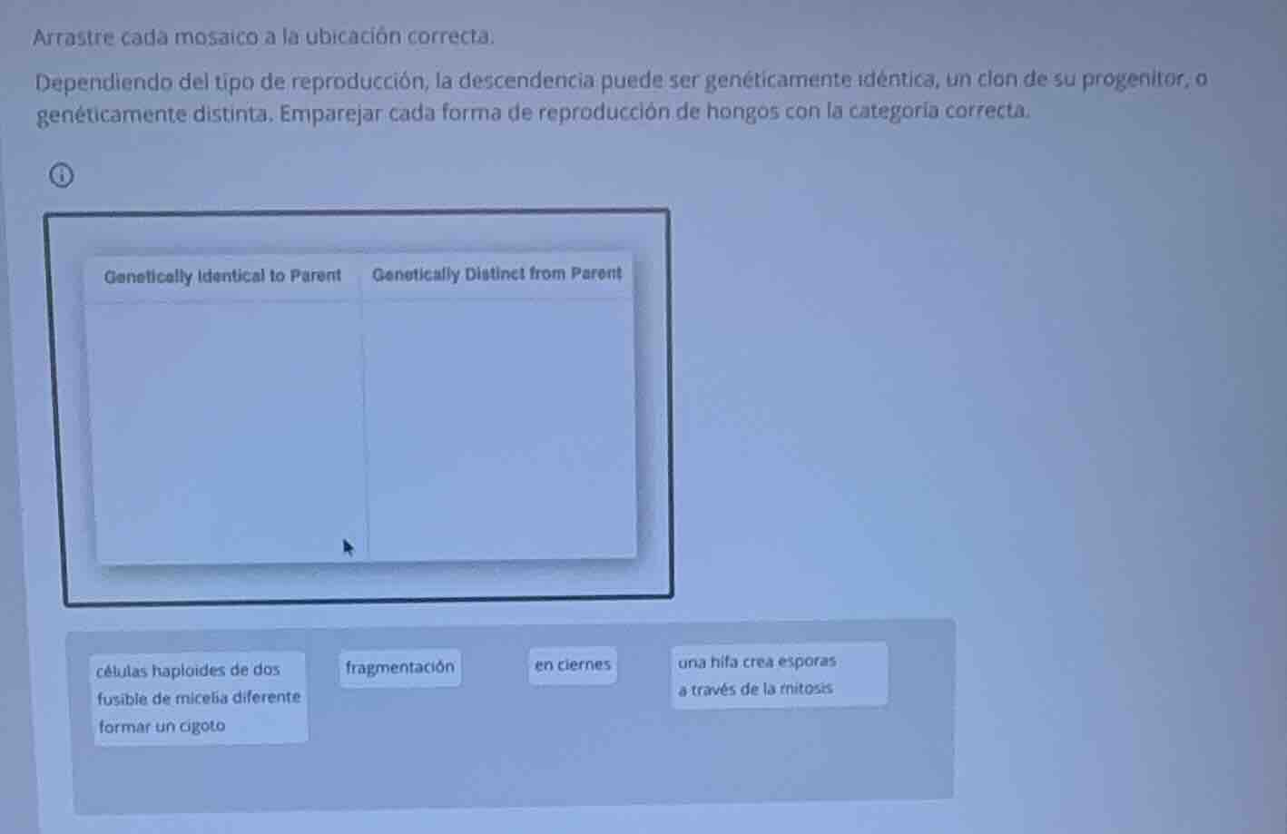 arrastre cada mosaico a la ubicación correcta. dependiendo del tipo de …