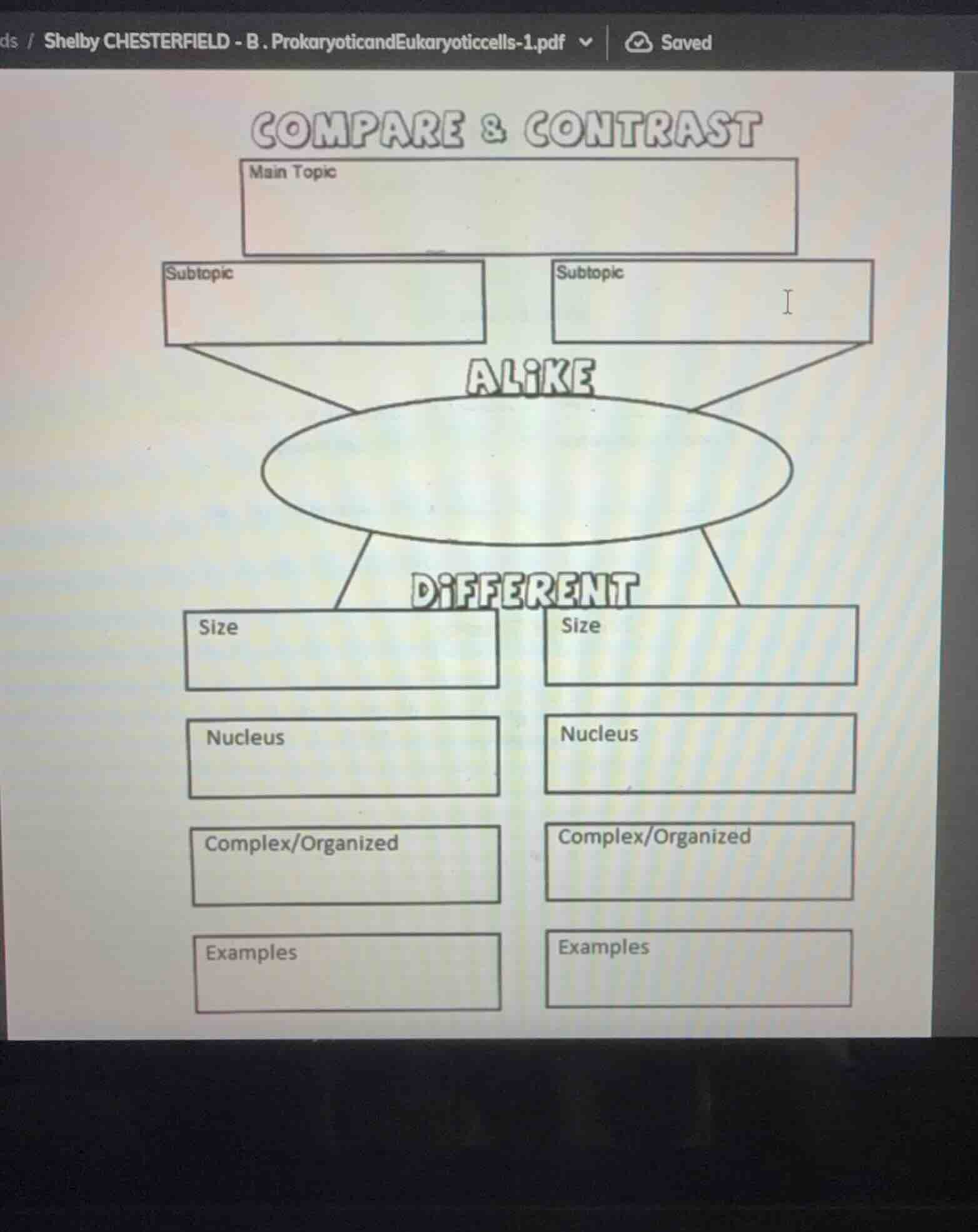 compare & contrast main topic subtopic subtopic alike different size si…
