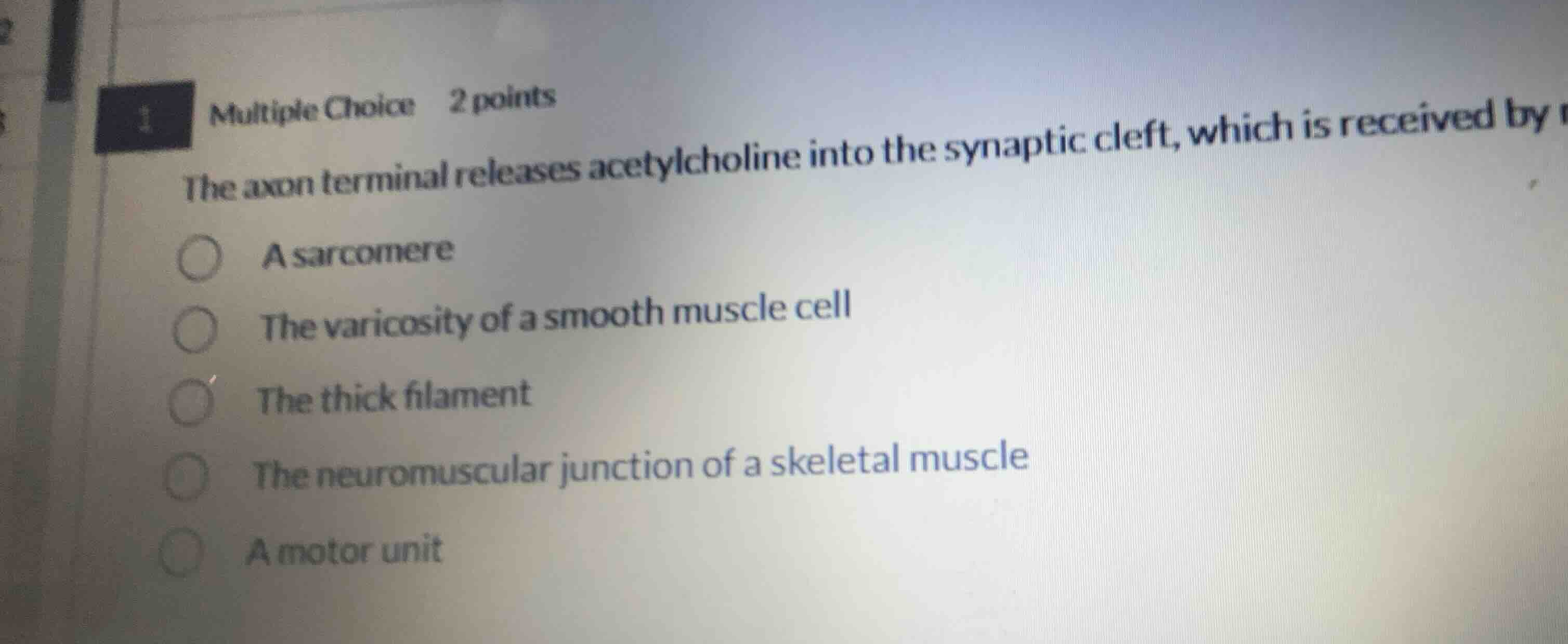 the axon terminal releases acetylcholine into the synaptic cleft, which…