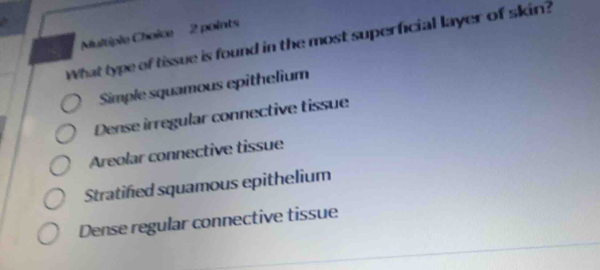 multiple choice 2 points what type of tissue is found in the most super…