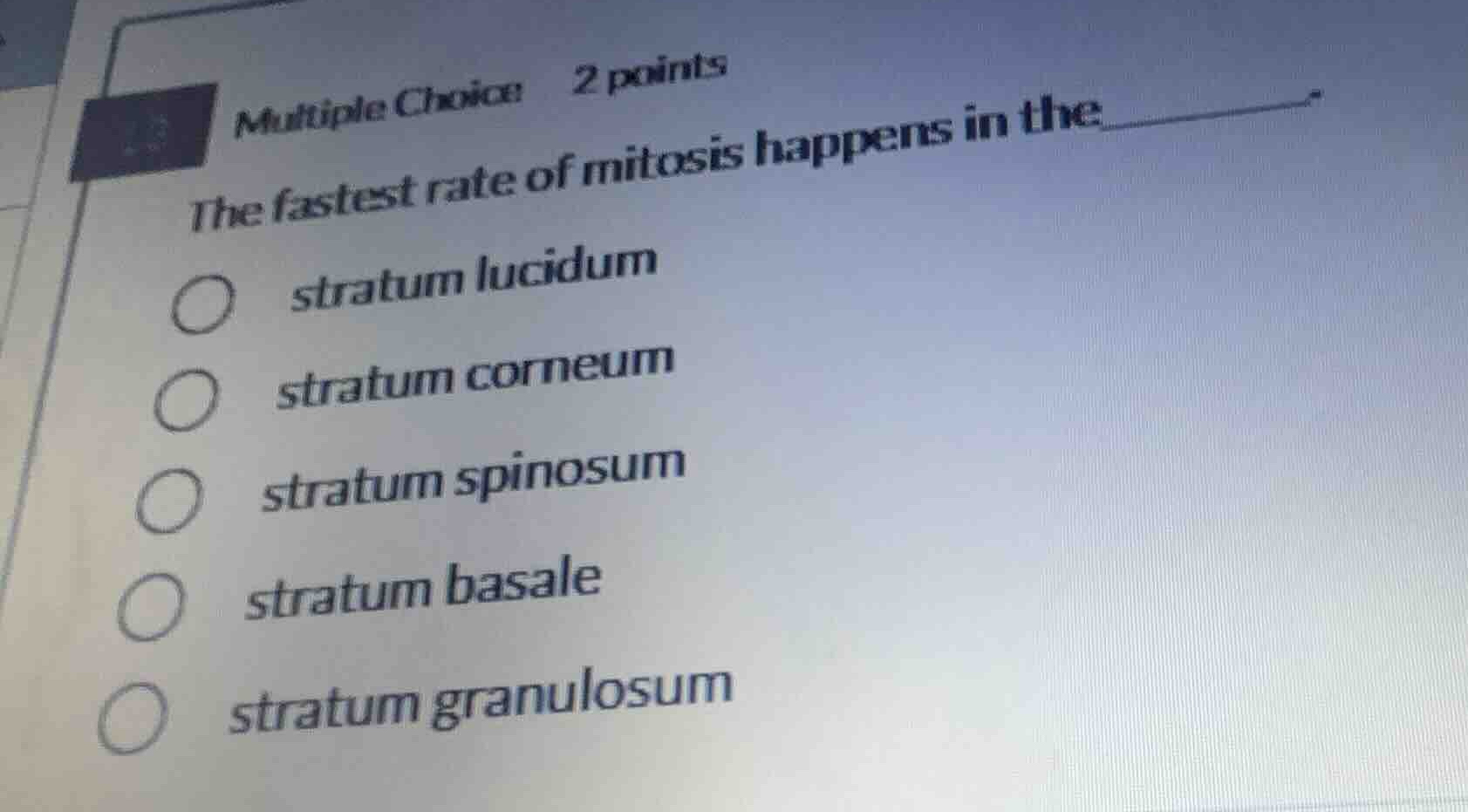 multiple choice 2 points the fastest rate of mitosis happens in the str…