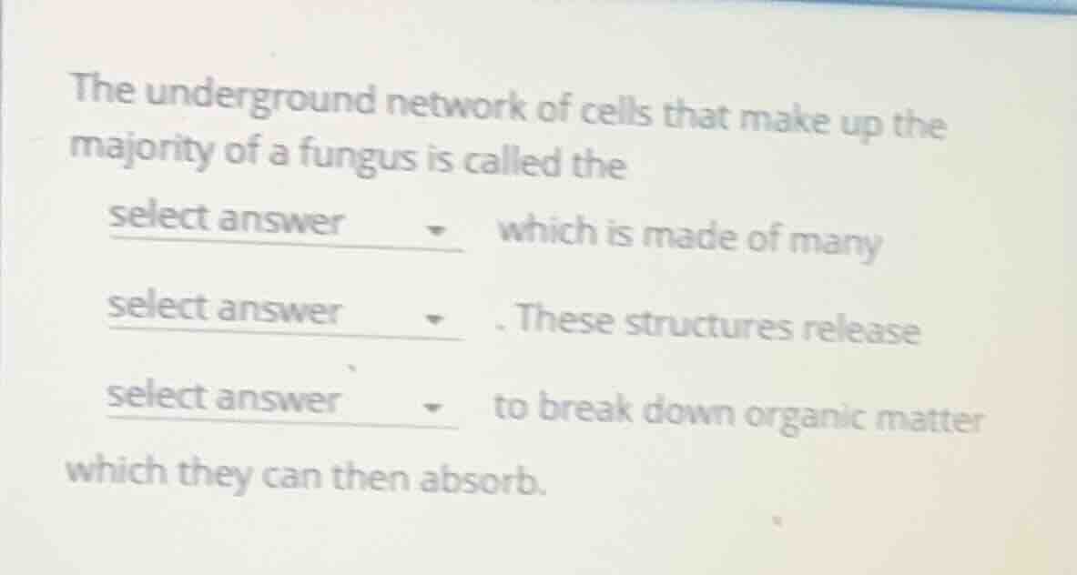 the underground network of cells that make up the majority of a fungus …