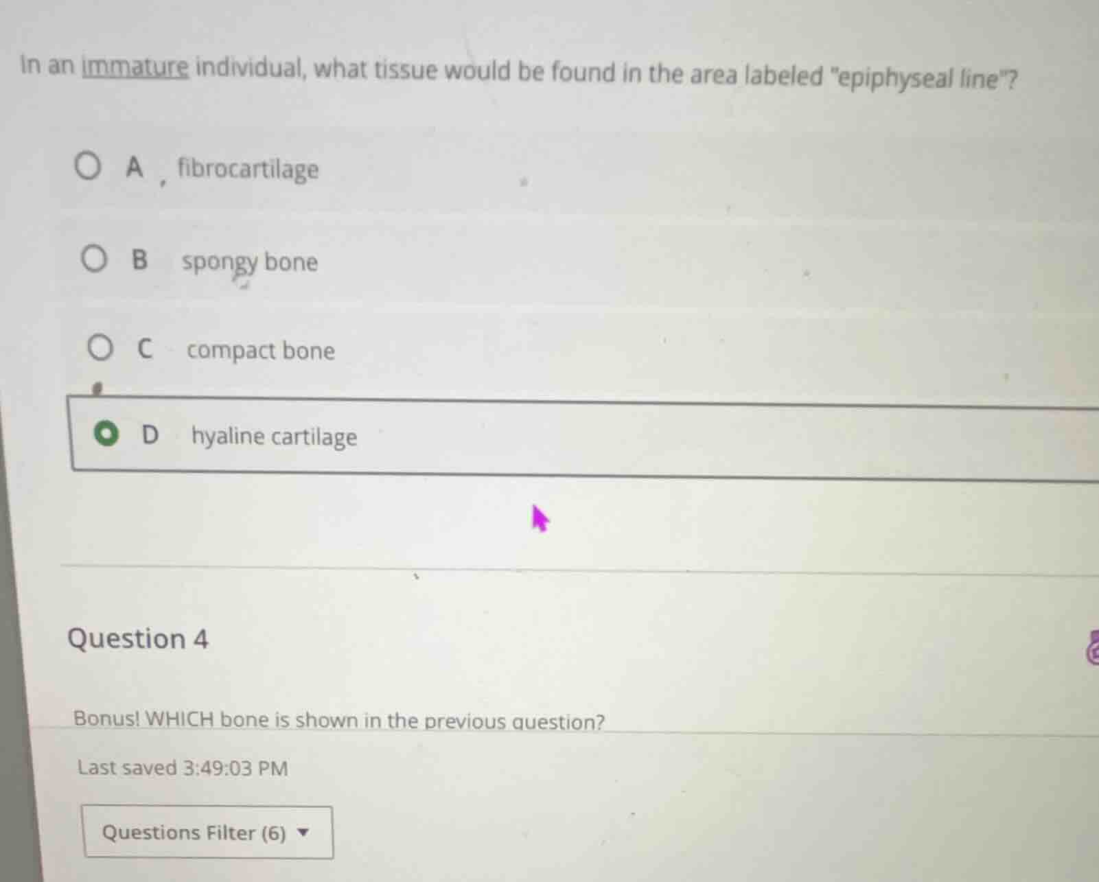 in an immature individual, what tissue would be found in the area label…