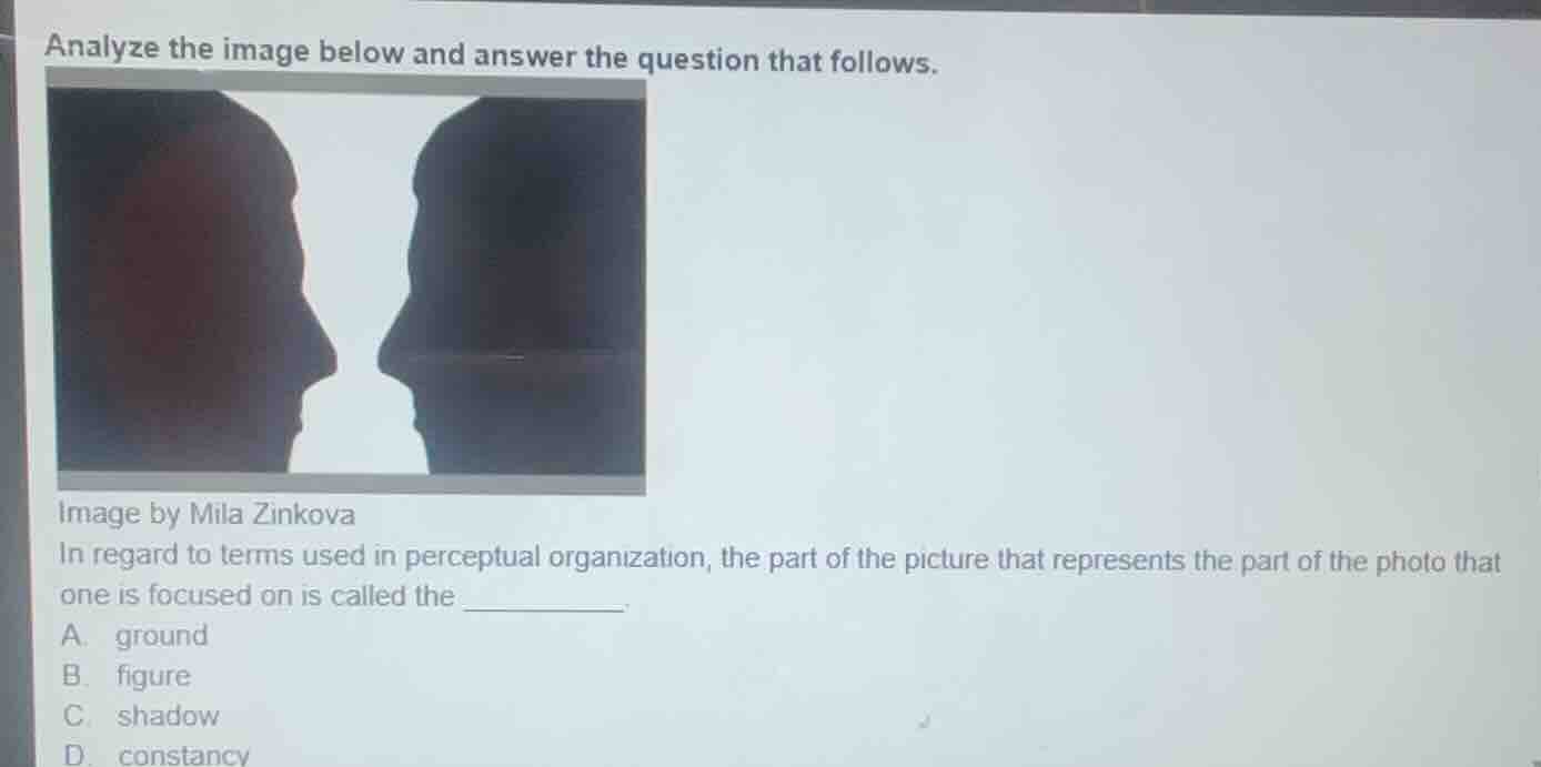 analyze the image below and answer the question that follows. image by …