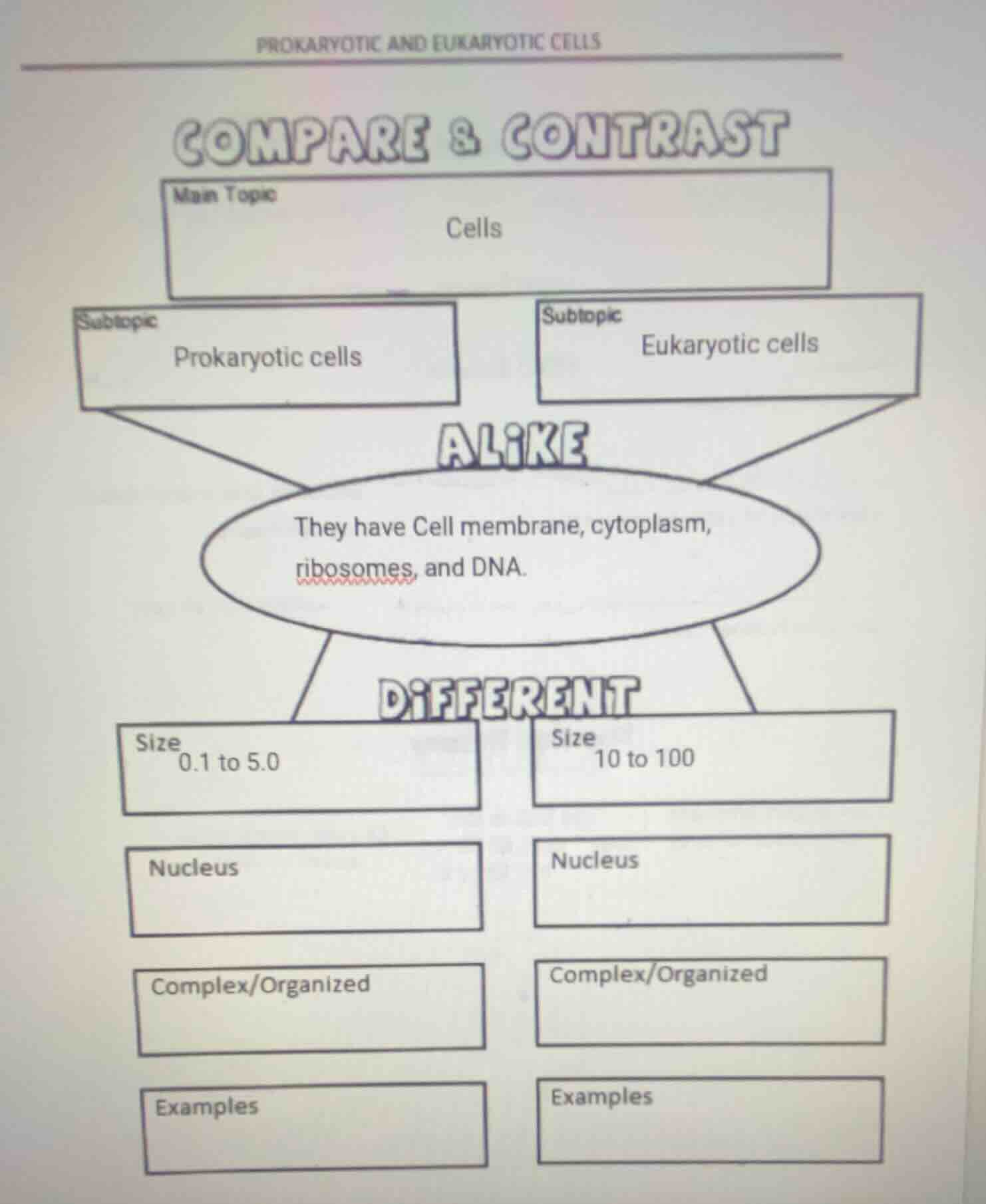 prokaryotic and eukaryotic cells compare & contrast main topic: cells s…