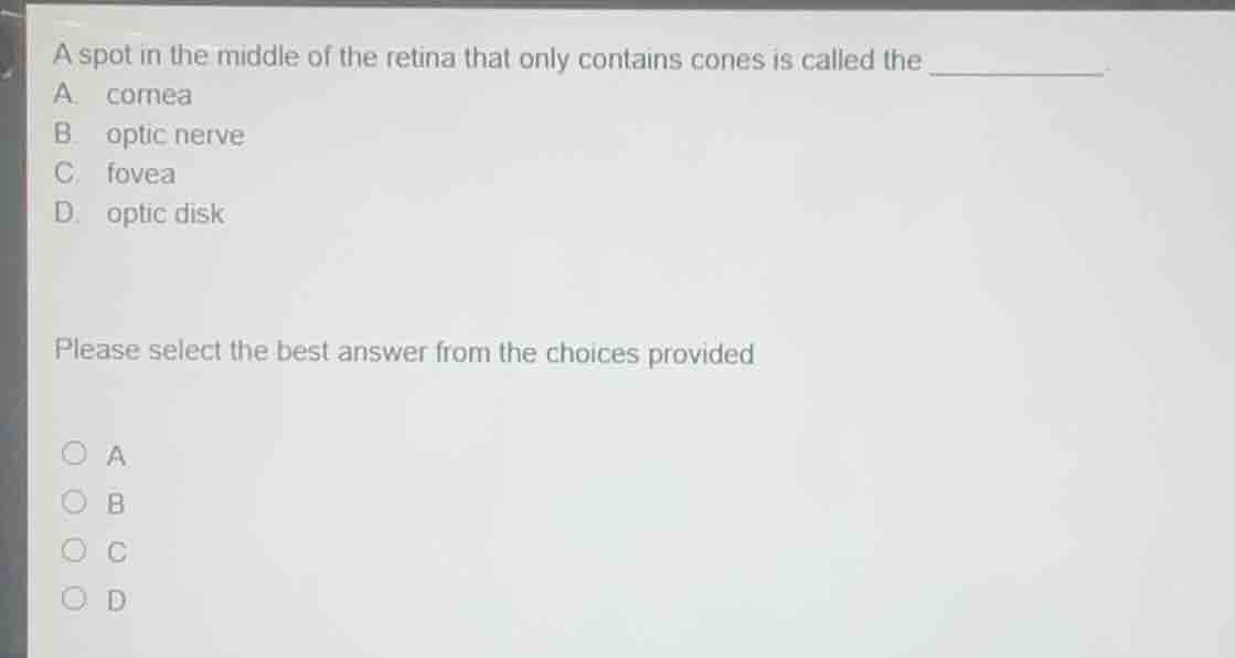 a spot in the middle of the retina that only contains cones is called t…