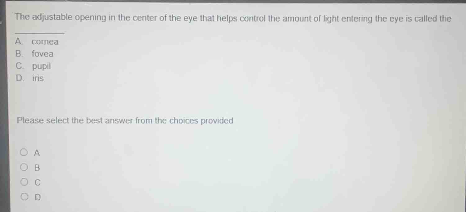 the adjustable opening in the center of the eye that helps control the …