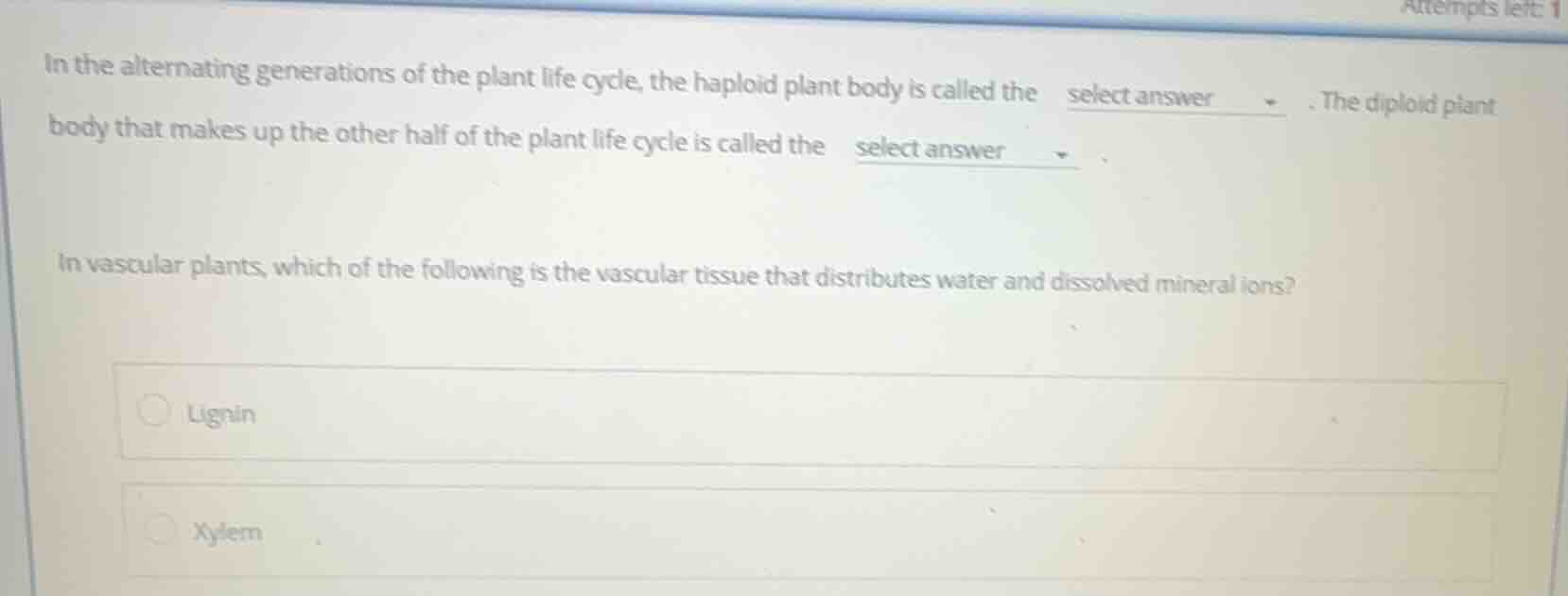 in the alternating generations of the plant life cycle, the haploid pla…