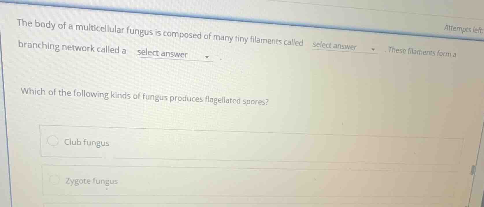 the body of a multicellular fungus is composed of many tiny filaments c…