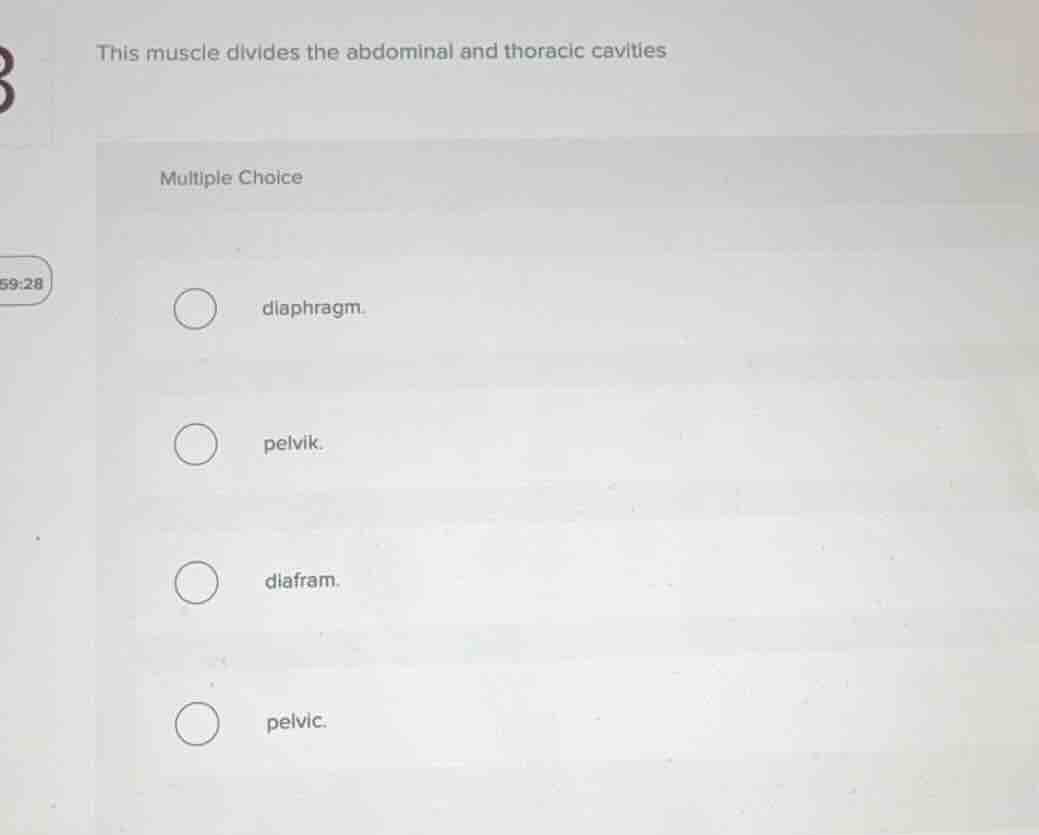 this muscle divides the abdominal and thoracic cavities multiple choice…