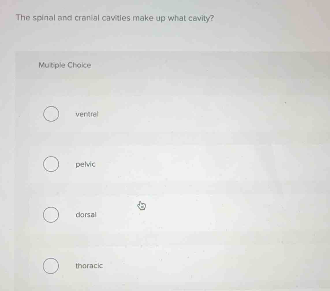 the spinal and cranial cavities make up what cavity? multiple choice ve…