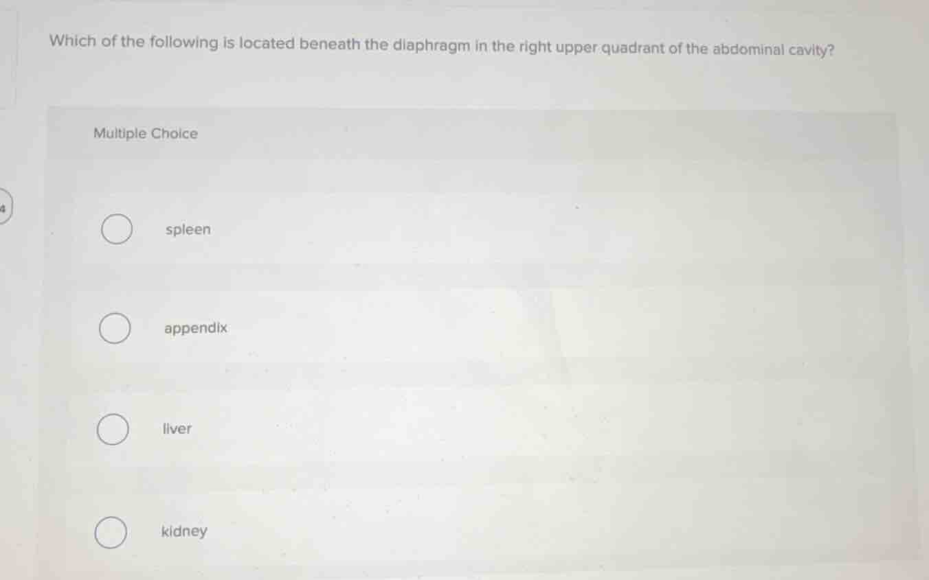 which of the following is located beneath the diaphragm in the right up…