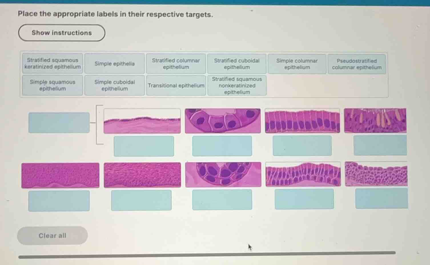 place the appropriate labels in their respective targets. show instruct…