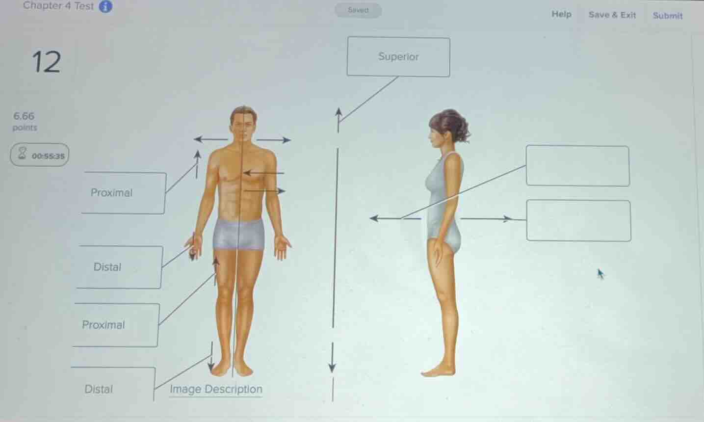 chapter 4 test 12 6.66 points 00:55:35 superior proximal distal proxima…