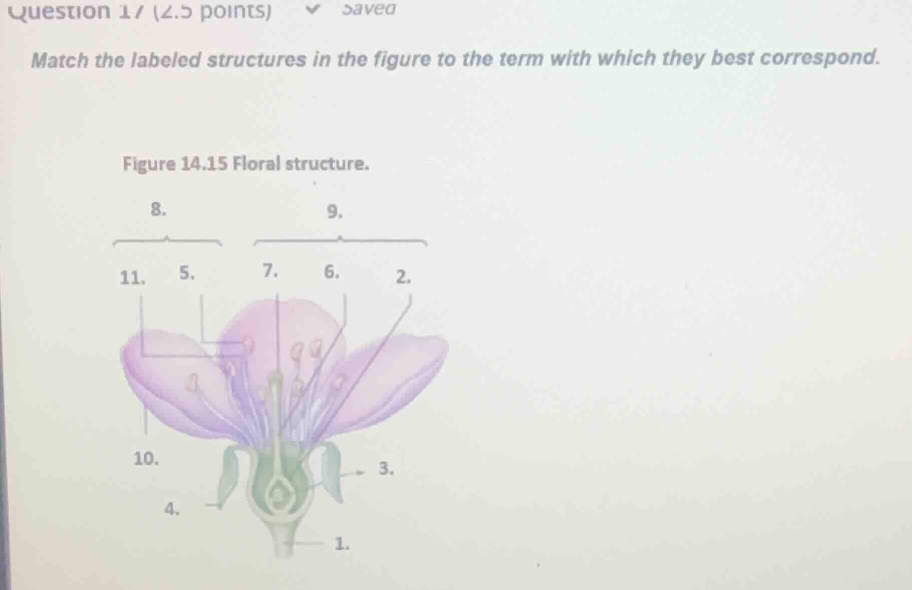 question 17 (2.5 points) saved match the labeled structures in the figu…