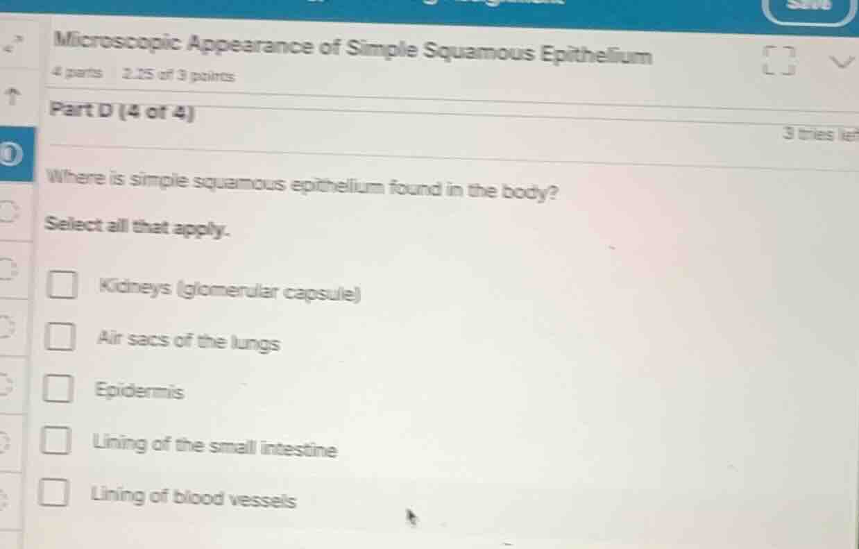 microscopic appearance of simple squamous epithelium part d (4 of 4) wh…