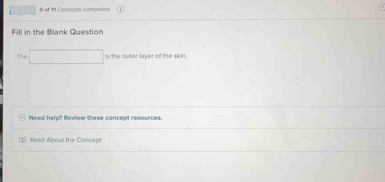 fill in the blank question the is the outer layer of the skin.