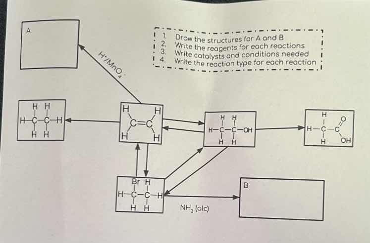 1. draw the structures for a and b 2. write the reagents for each react…