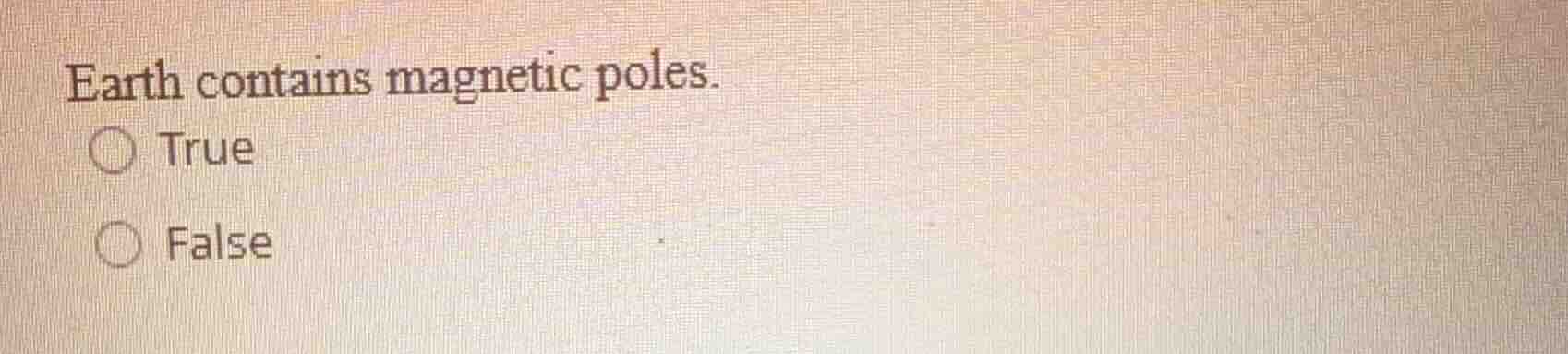 earth contains magnetic poles. true false
