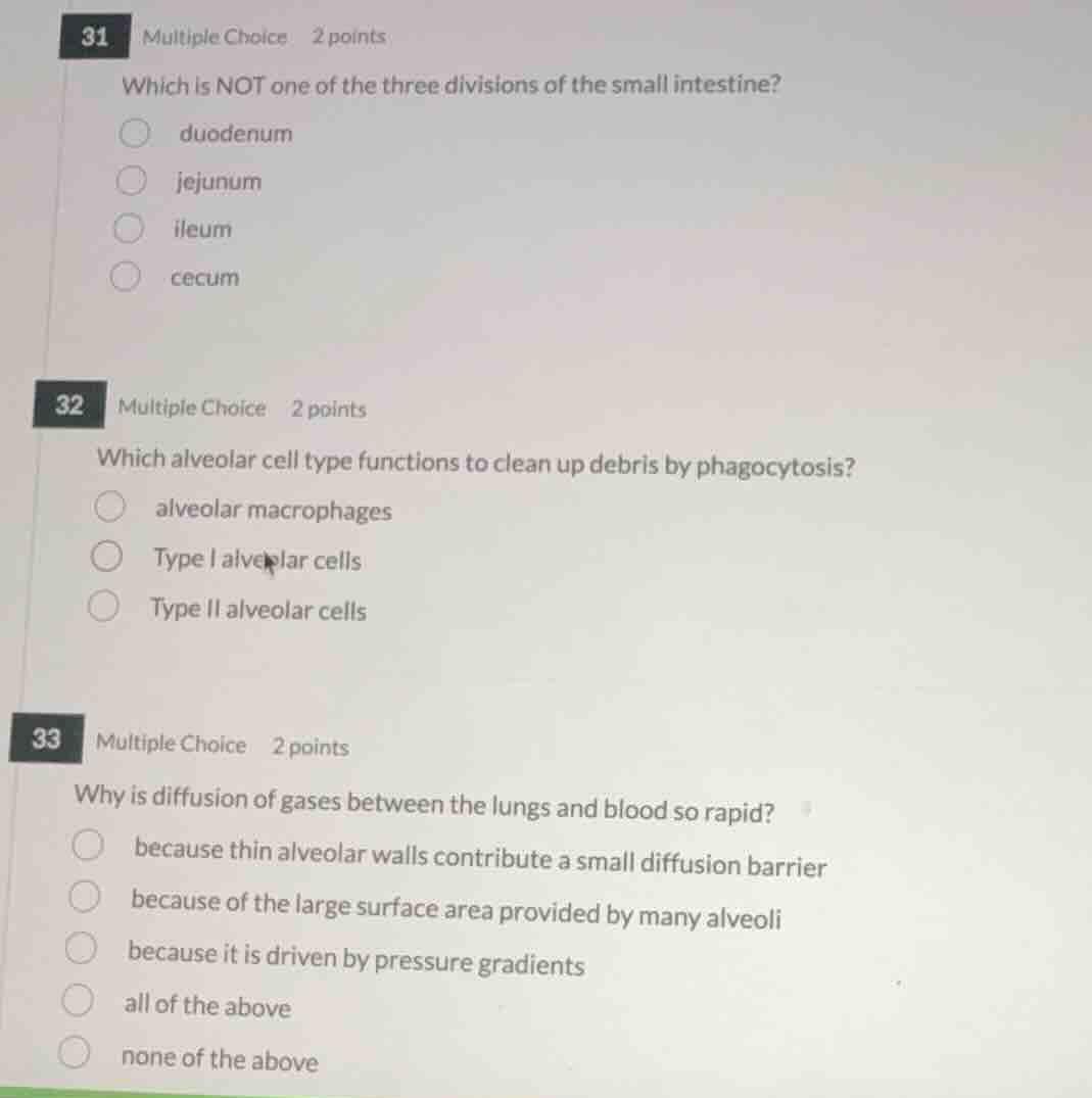 31 multiple choice 2 points which is not one of the three divisions of …