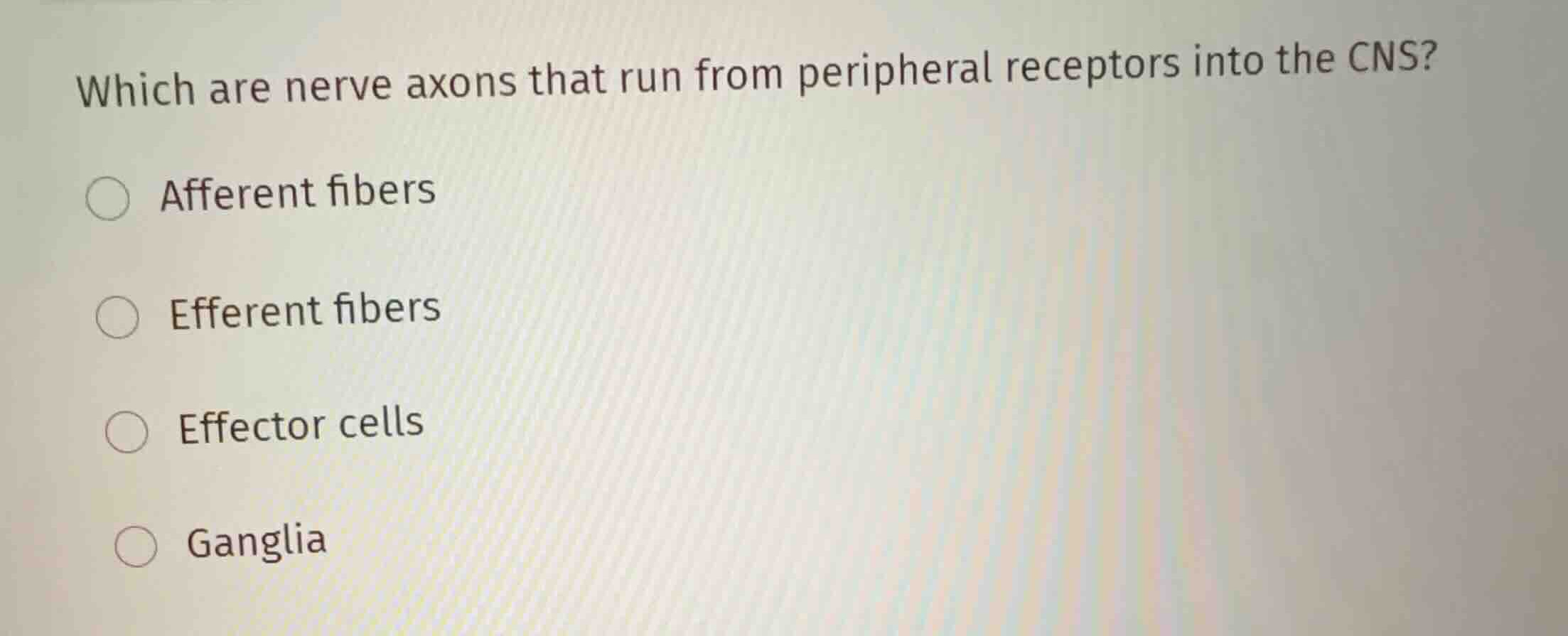which are nerve axons that run from peripheral receptors into the cns? …