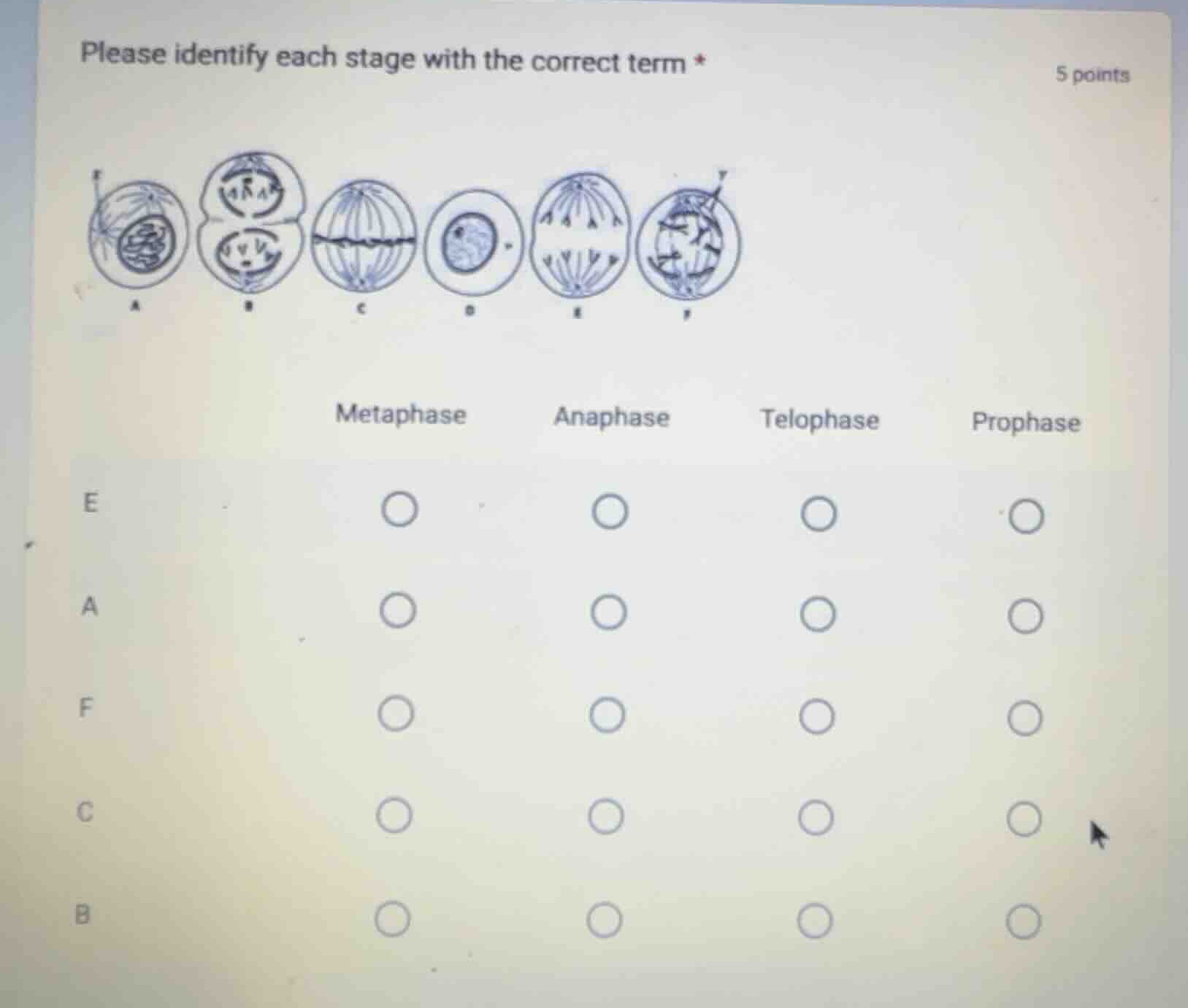 please identify each stage with the correct term * 5 points metaphase a…