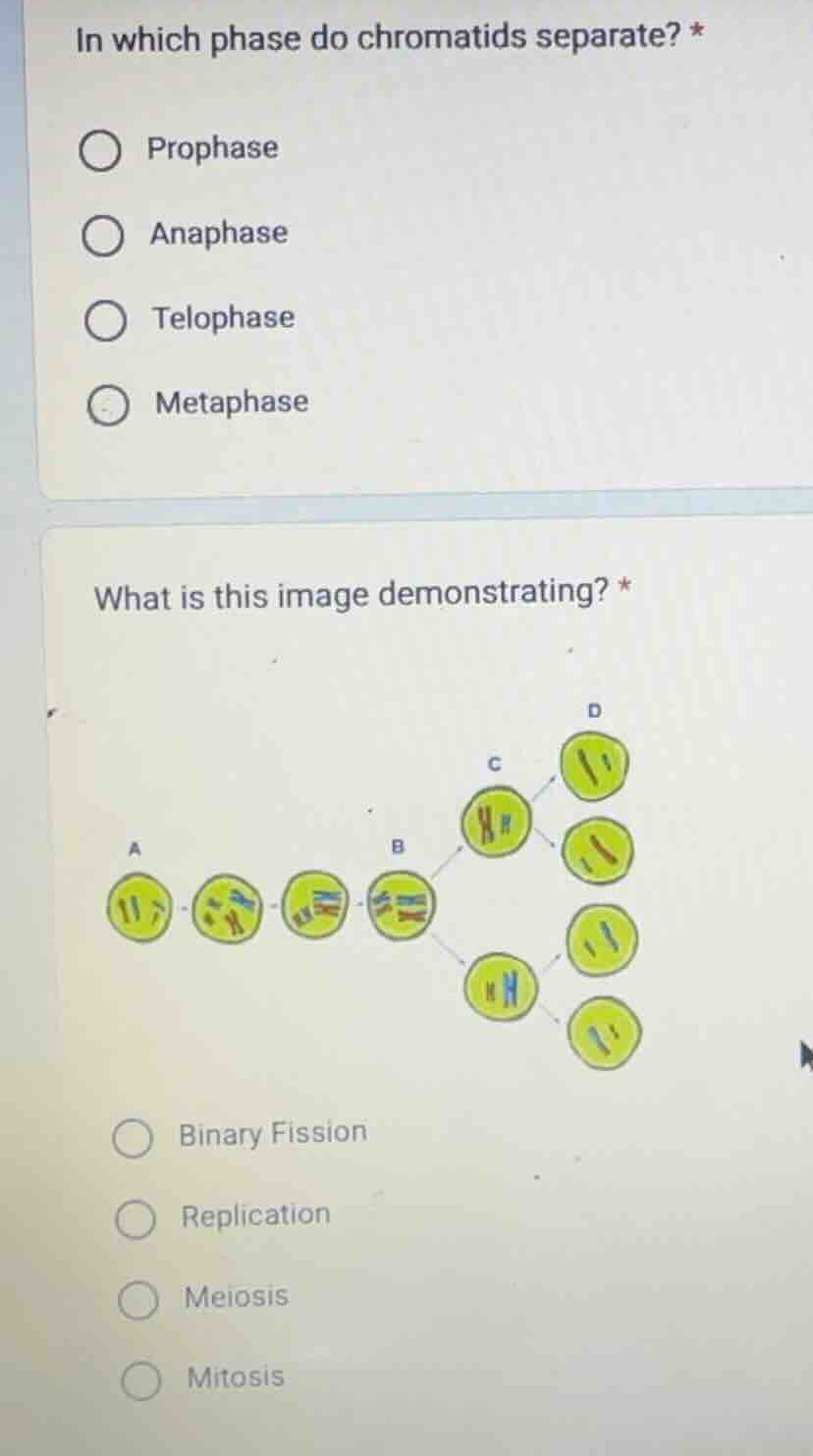 in which phase do chromatids separate? * prophase anaphase telophase me…