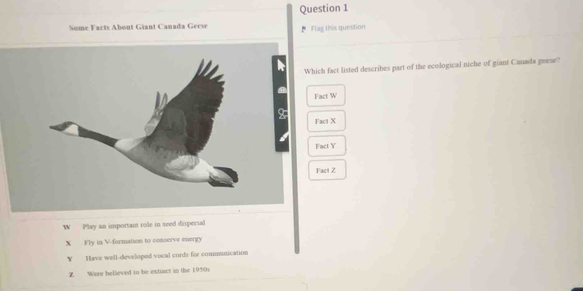 some facts about giant canada geese w play an important role in seed di…