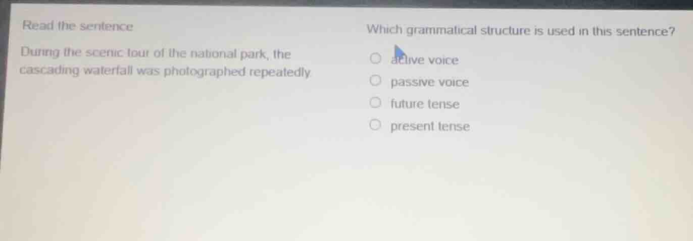 read the sentence during the scenic tour of the national park, the casc…