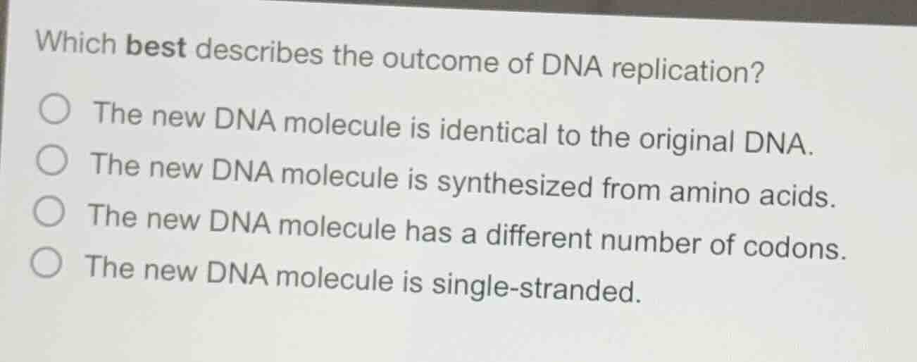 which best describes the outcome of dna replication? the new dna molecu…