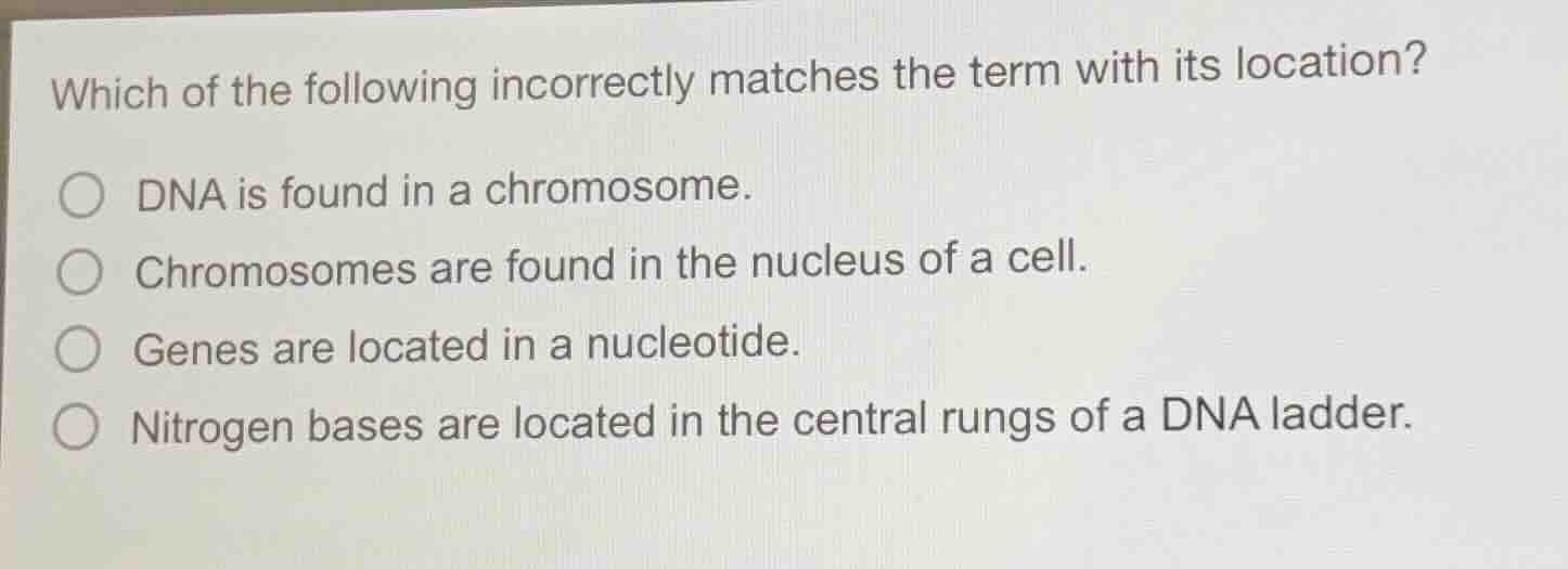 which of the following incorrectly matches the term with its location? …