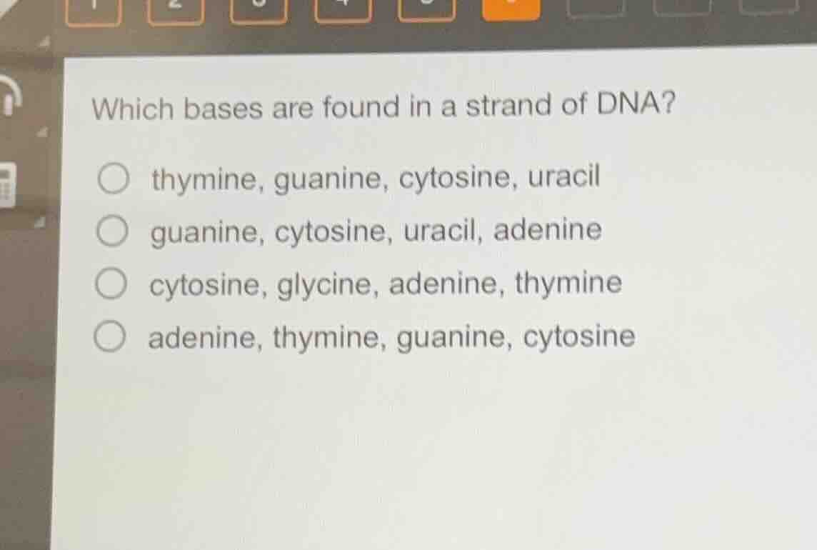 which bases are found in a strand of dna? thymine, guanine, cytosine, u…