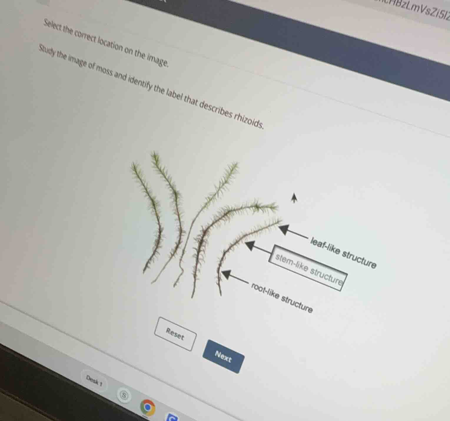 select the correct location on the image. study the image of moss and i…