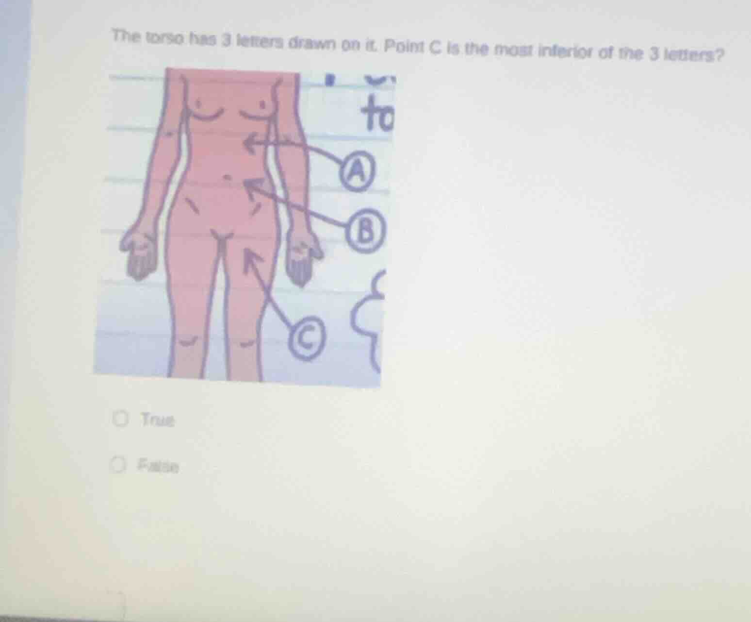 the torso has 3 letters drawn on it. point c is the most inferior of th…