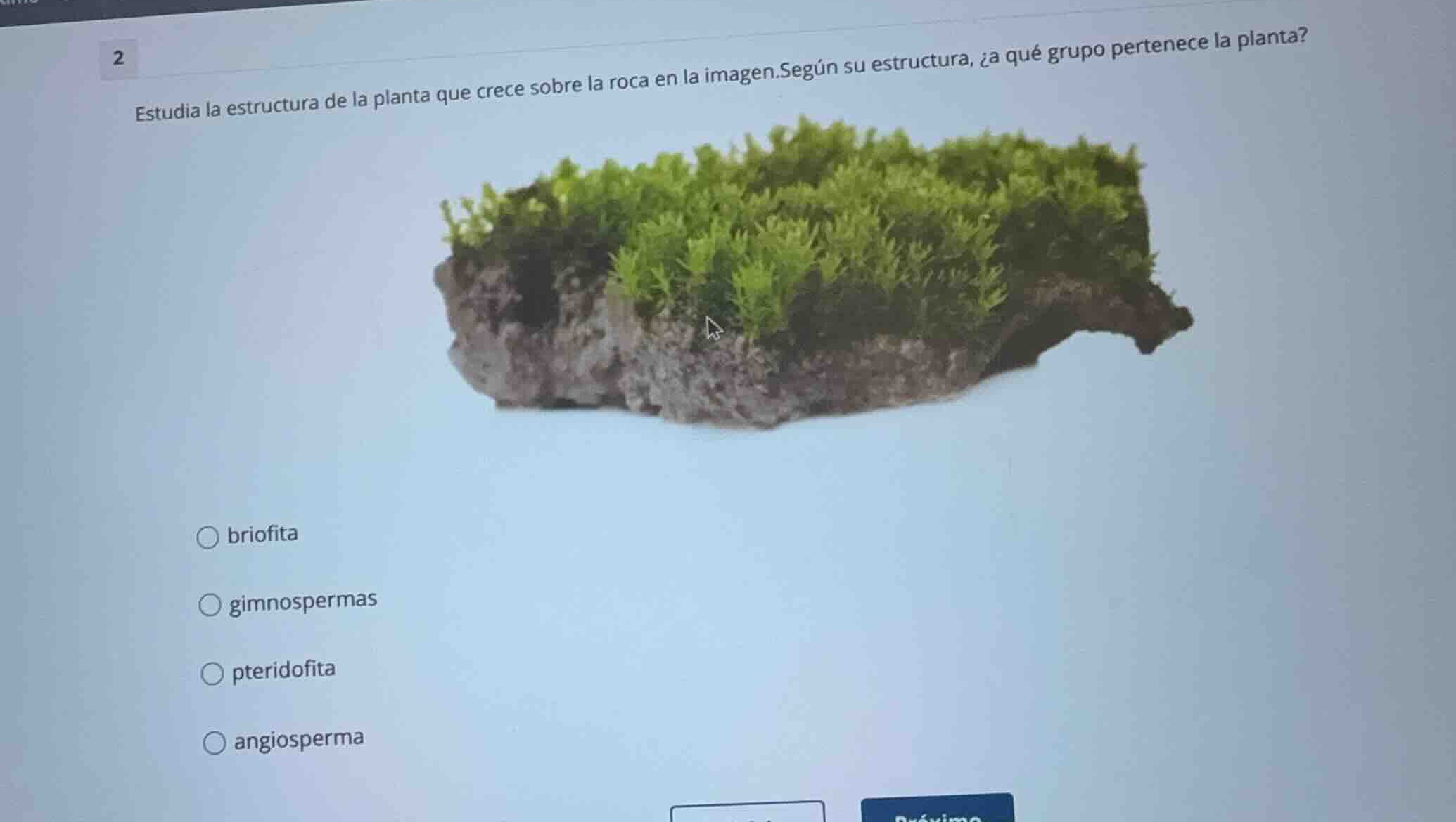 2 estudia la estructura de la planta que crece sobre la roca en la imag…