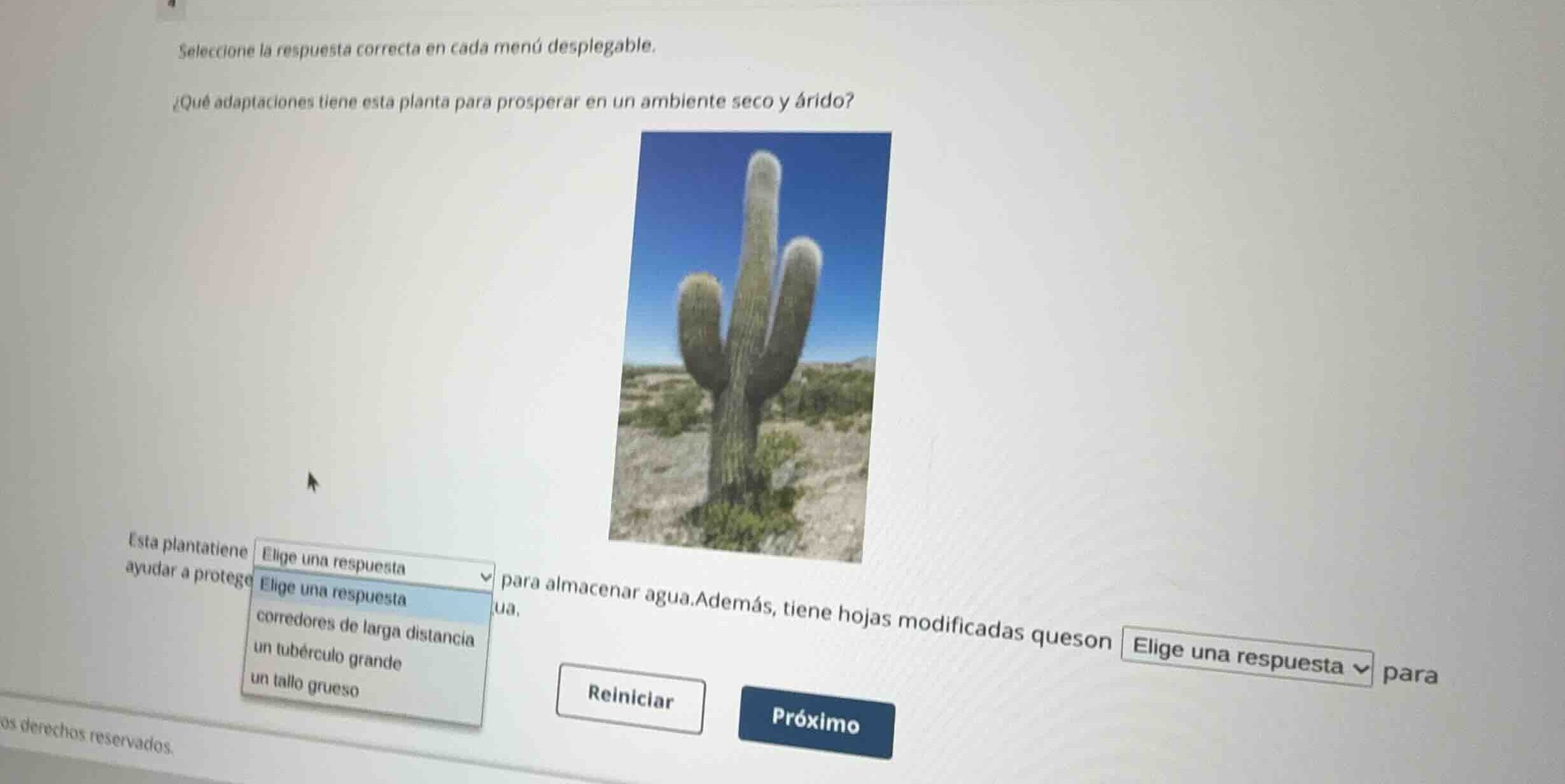 seleccione la respuesta correcta en cada menú desplegable. ¿qué adaptac…